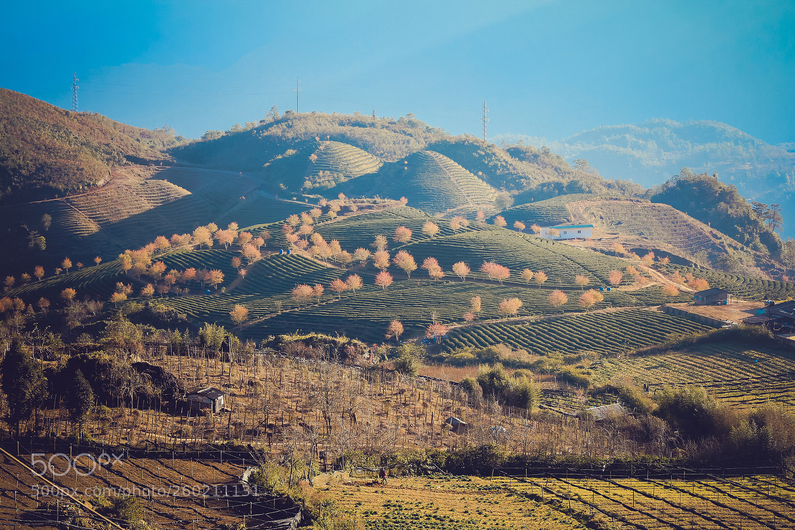 Canon EOS 70D sample photo. The layers photography