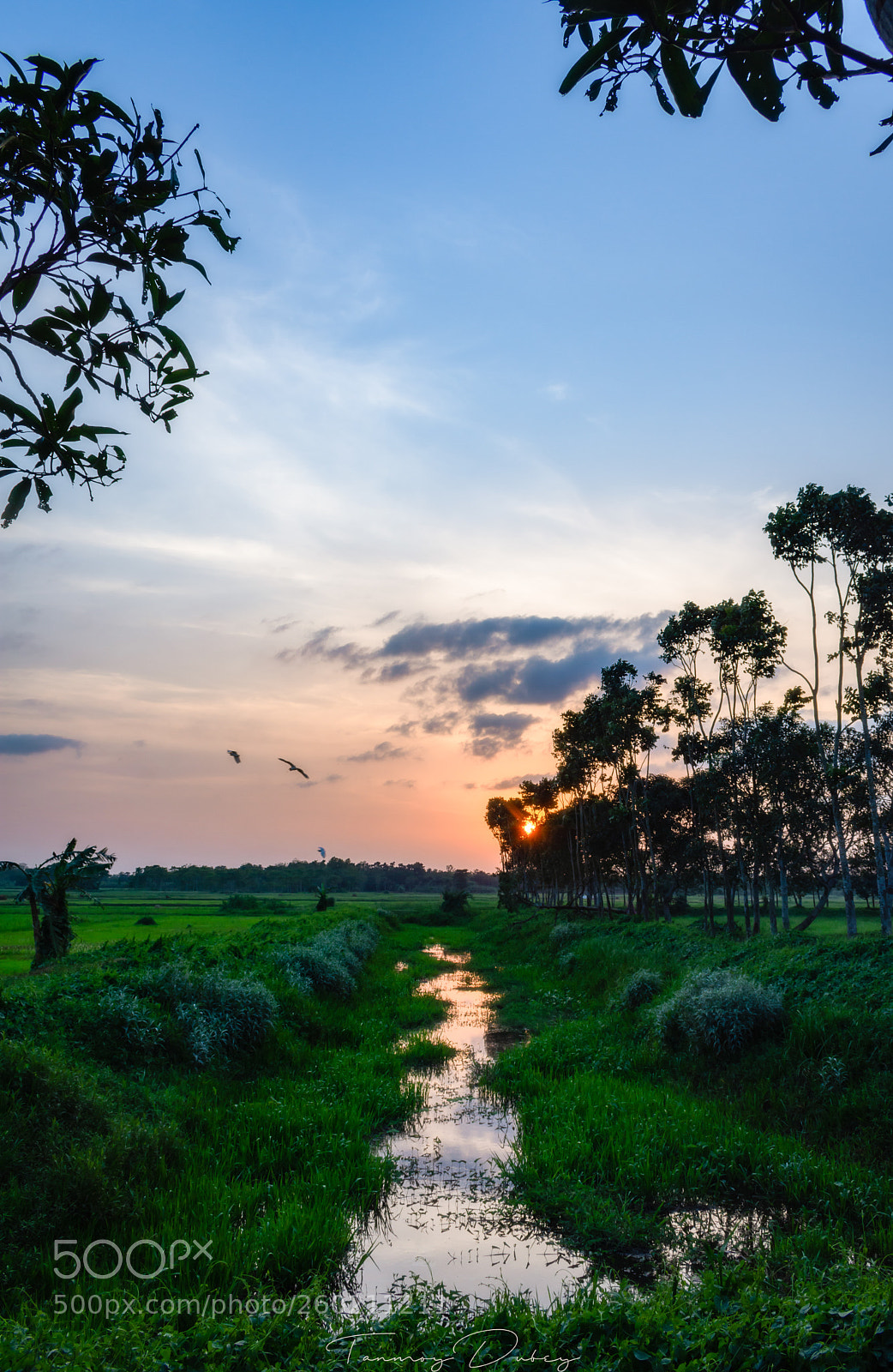 Nikon D7200 sample photo. Evening story photography