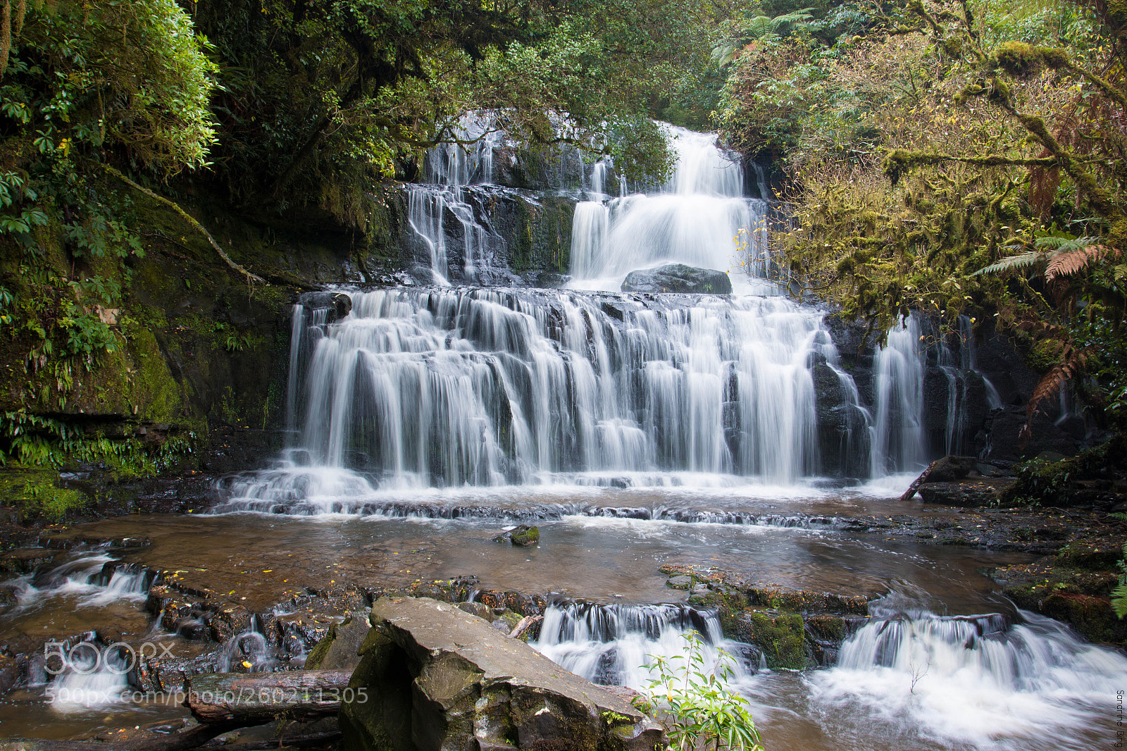 Canon EOS 70D sample photo. Purakaunui falls photography