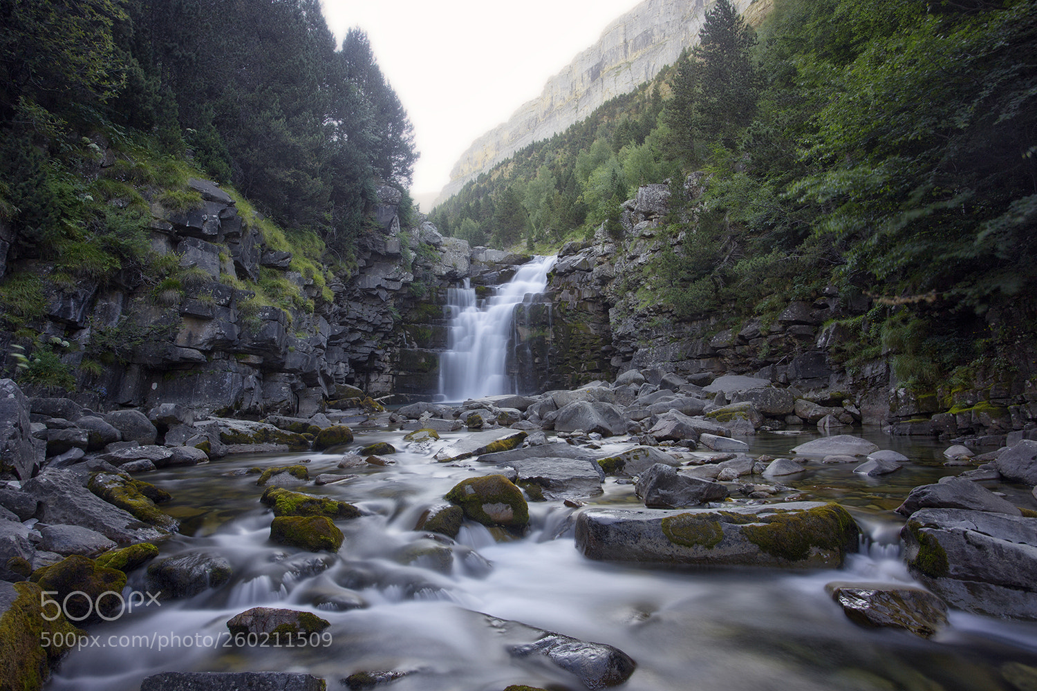 Canon EOS 6D sample photo. A photography