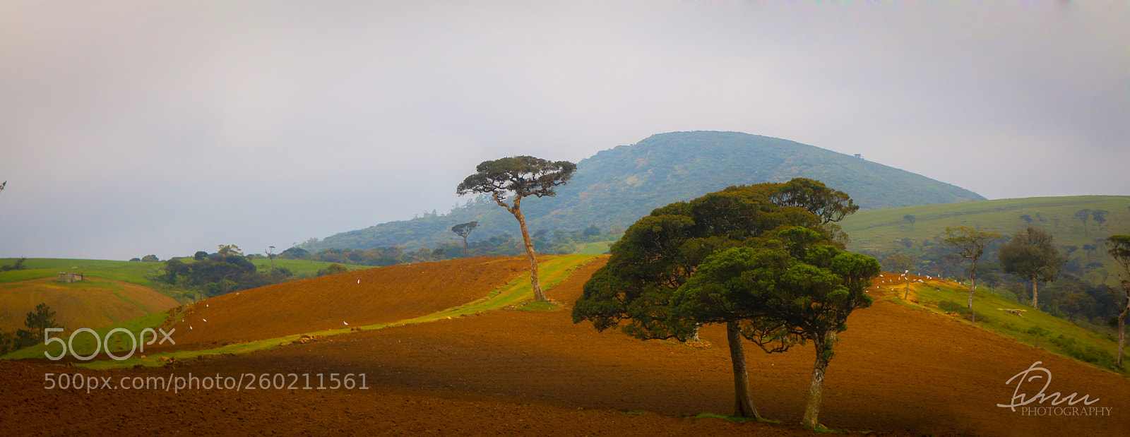 Canon EOS 750D (EOS Rebel T6i / EOS Kiss X8i) sample photo. Beautiful earth photography