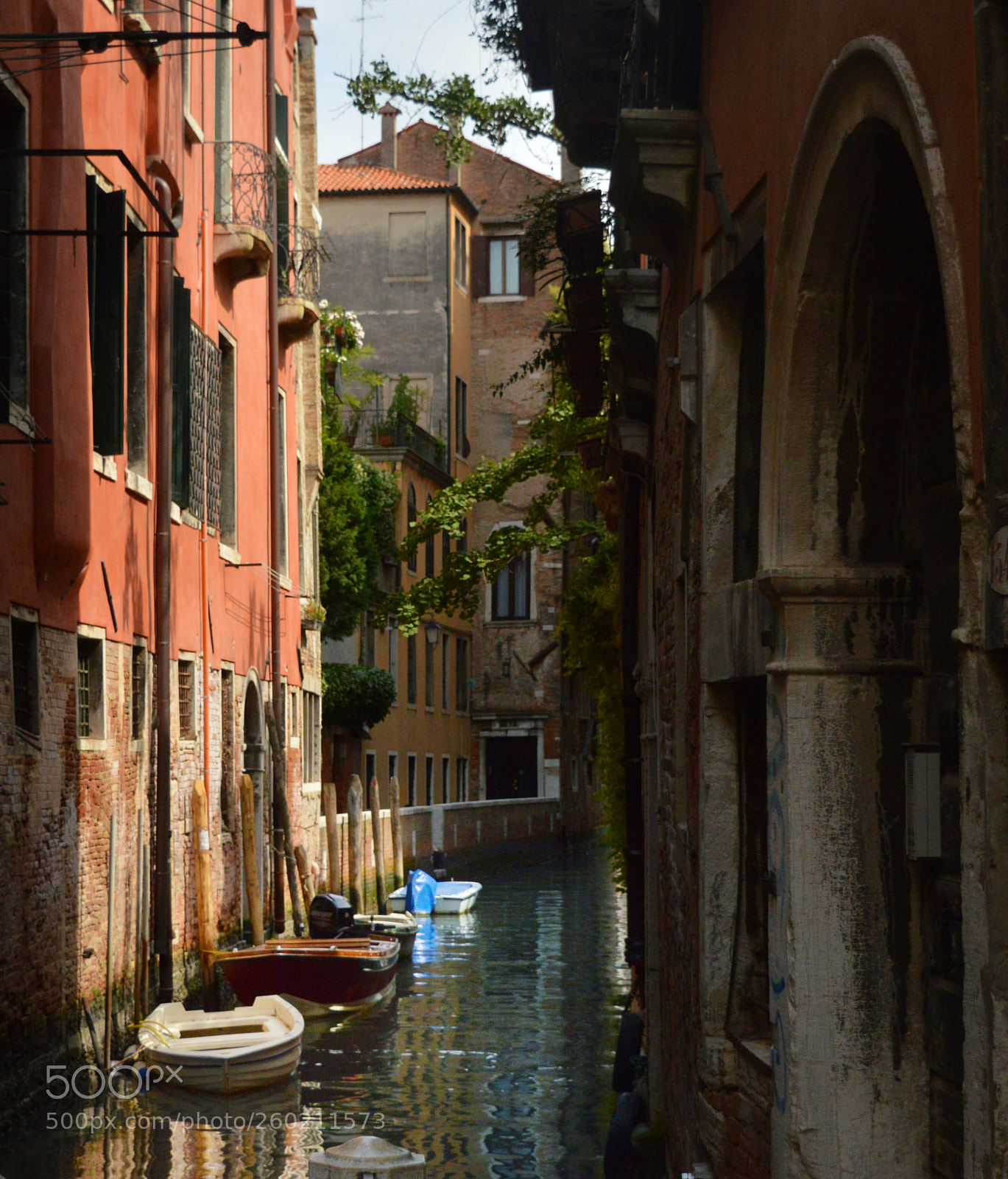 Nikon D3200 sample photo. Untitled photography