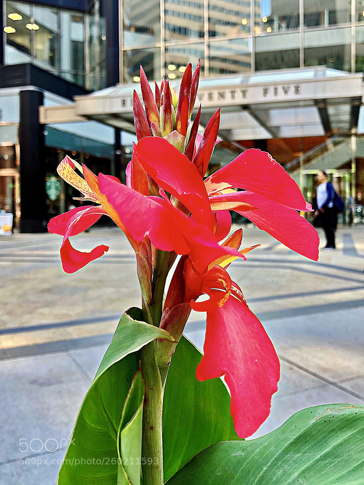 Apple iPhone X sample photo. Street scene photography