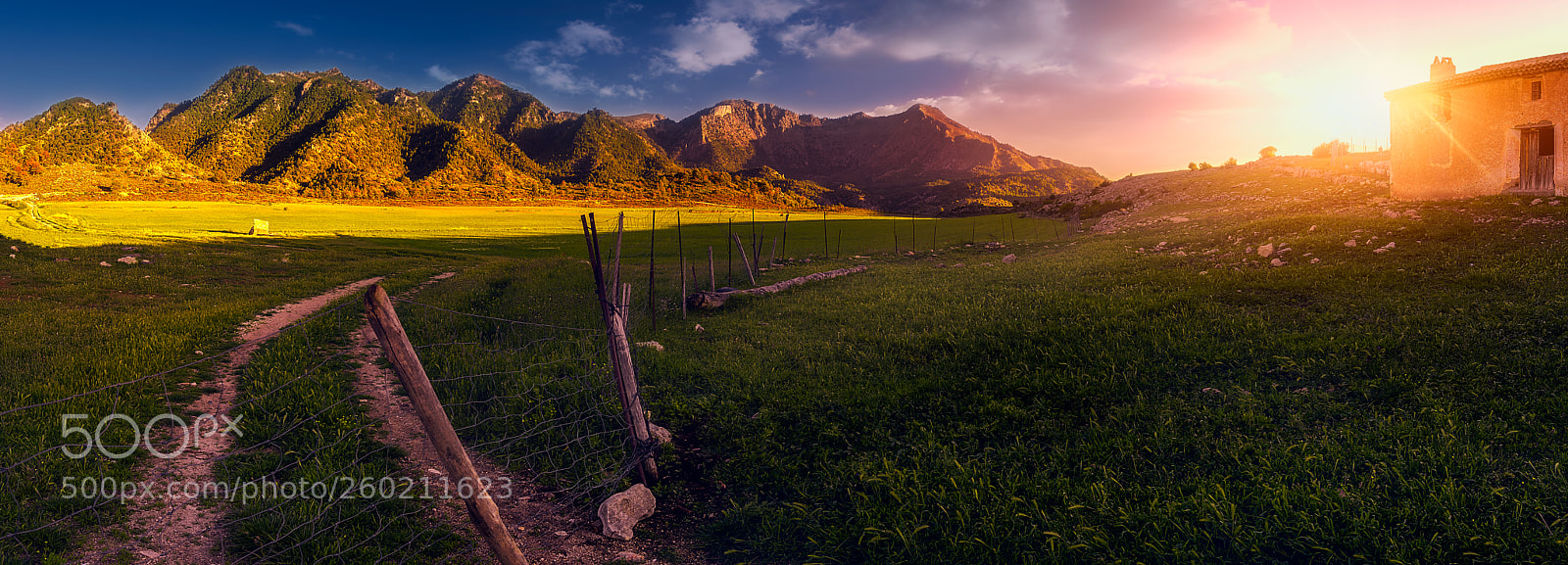 Nikon D810 sample photo. Prado de las yeguas photography