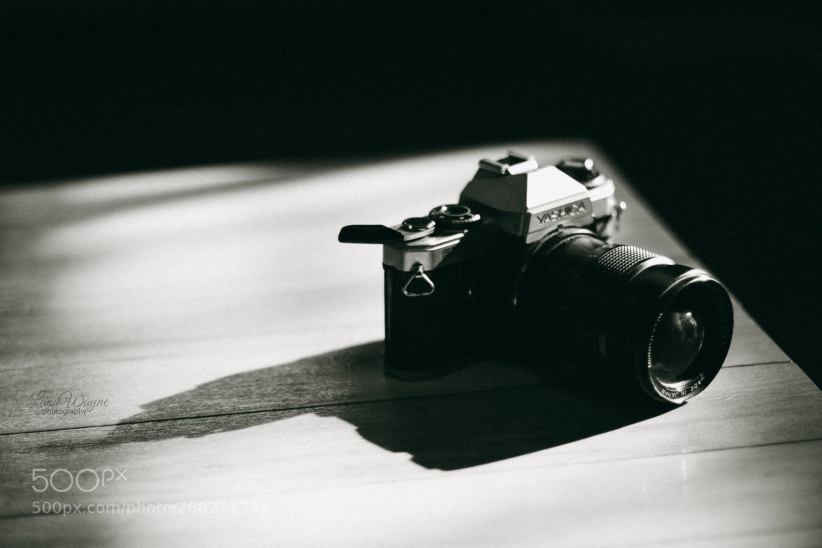Canon EOS 7D Mark II sample photo. Yashica photography