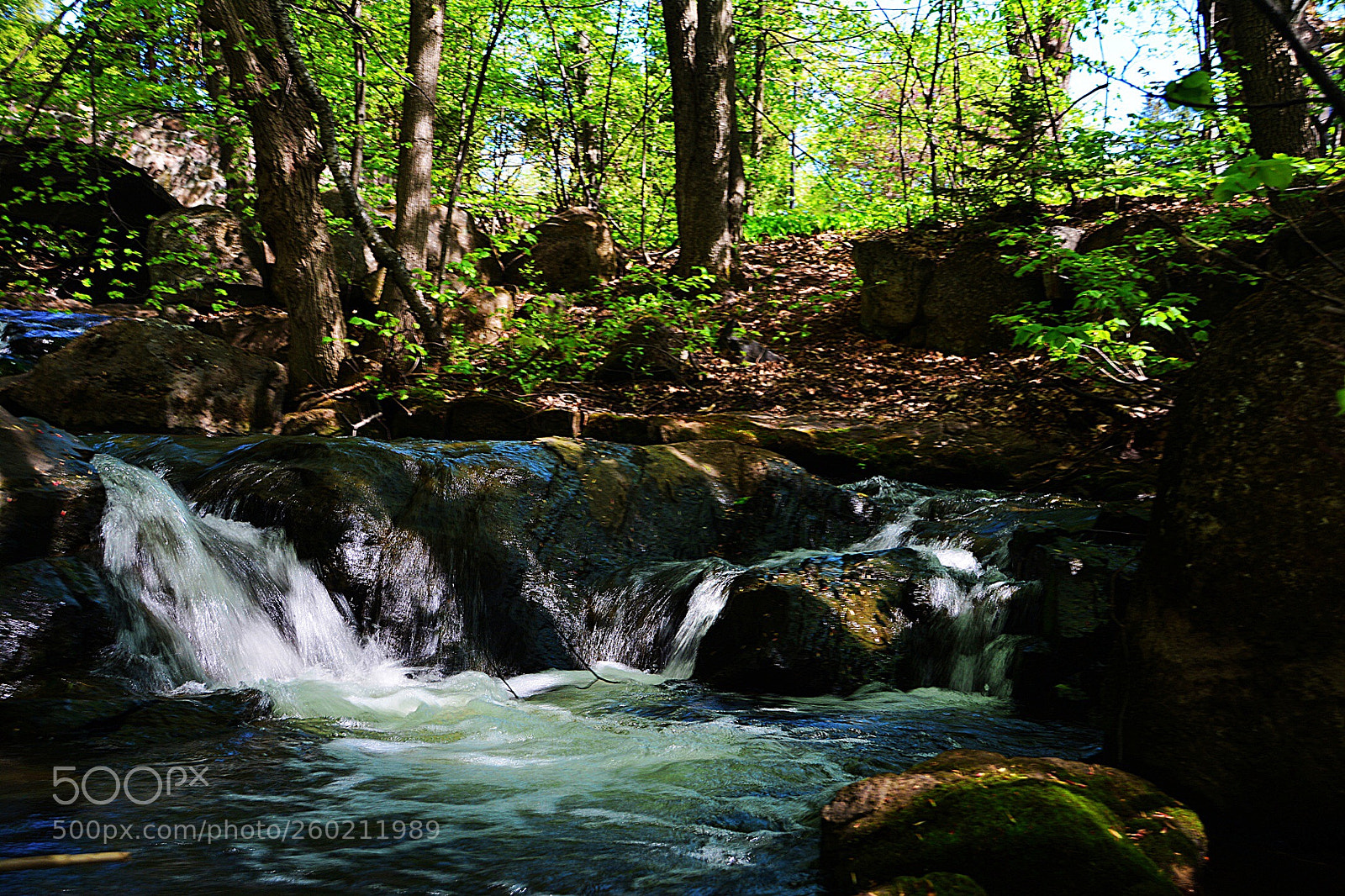 Nikon D7100 sample photo. Calme photography