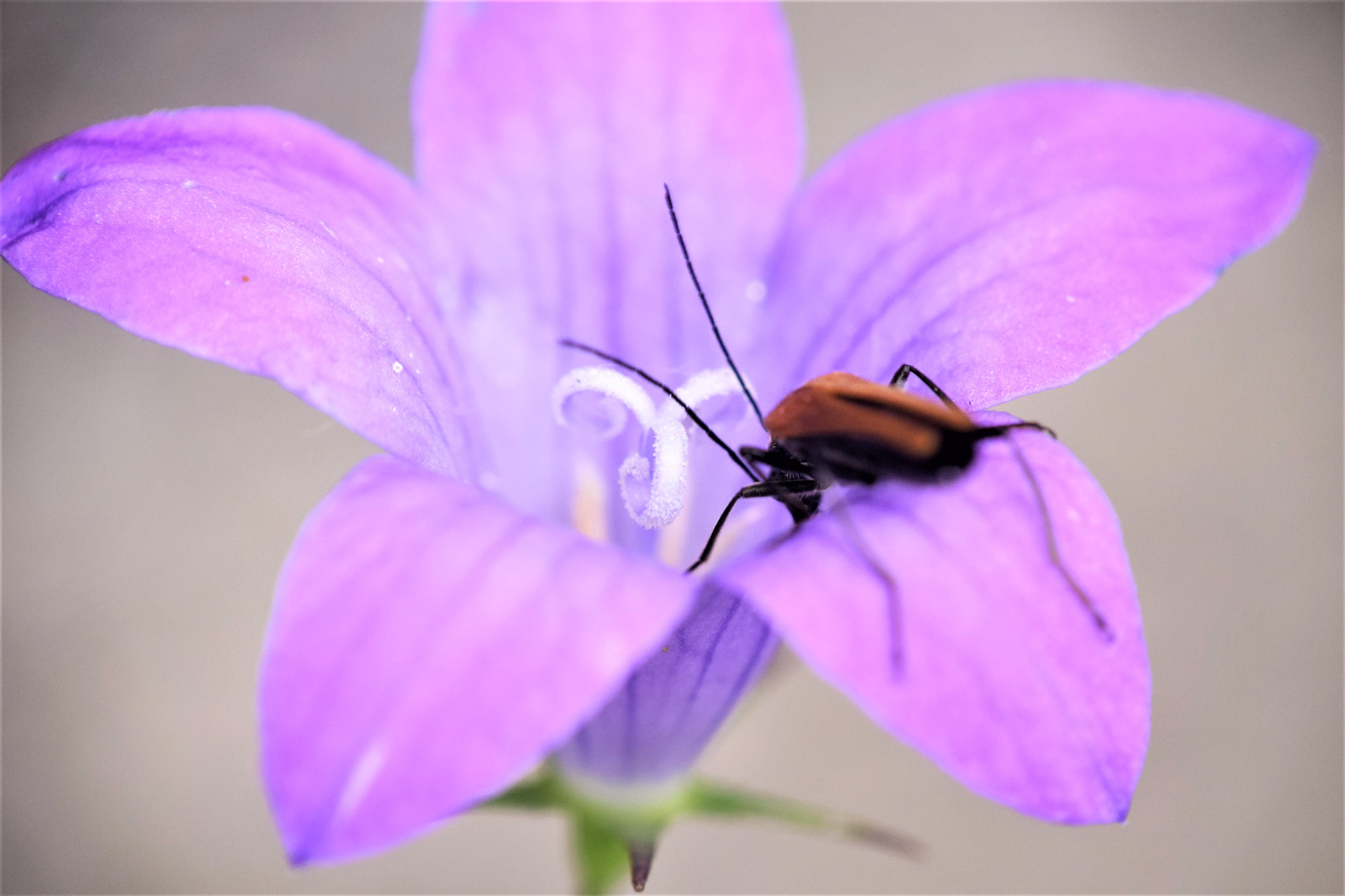 Nikon D3300 sample photo. Well, well... photography