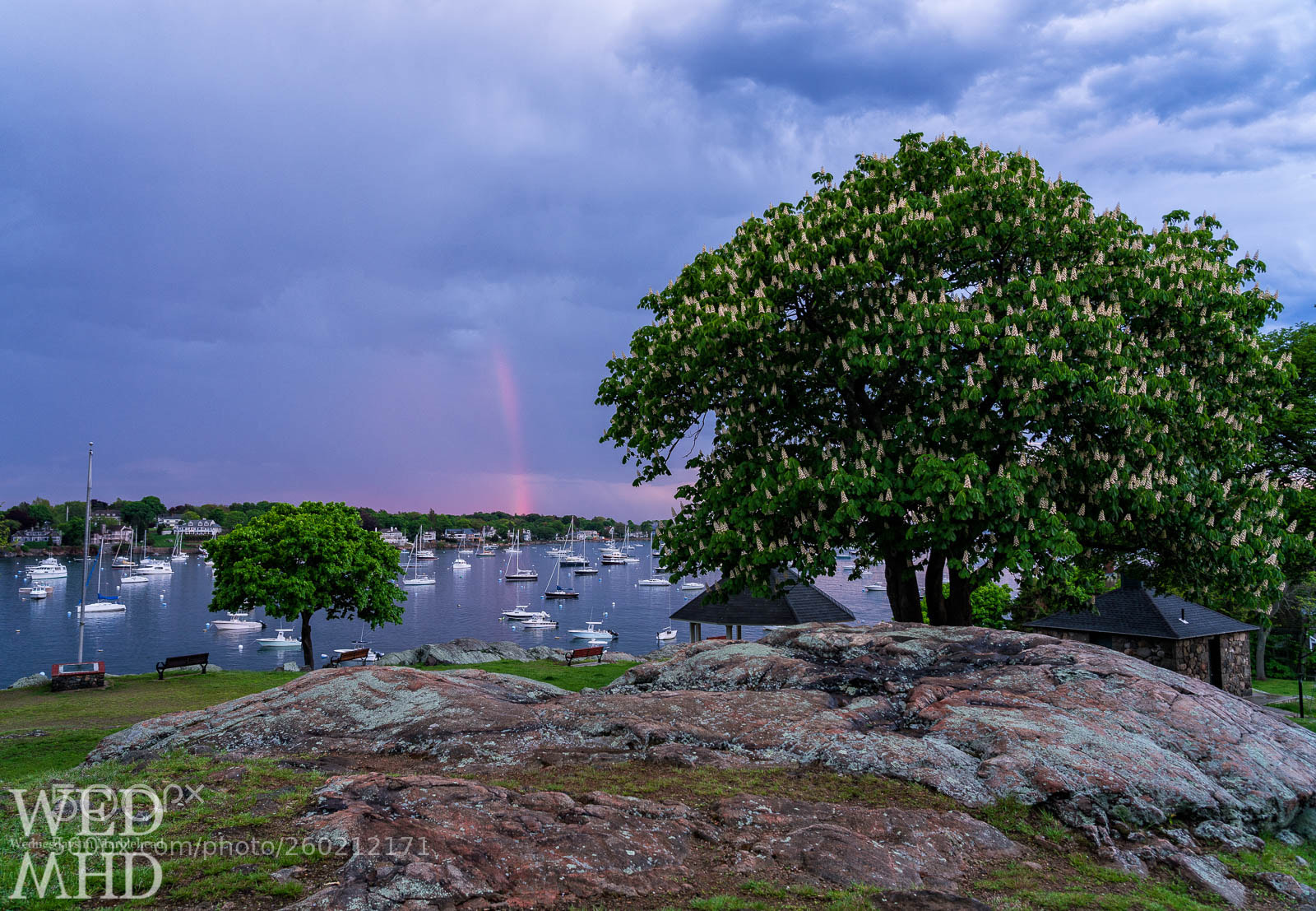 Sony a7R III sample photo. Pink rainbow and the photography