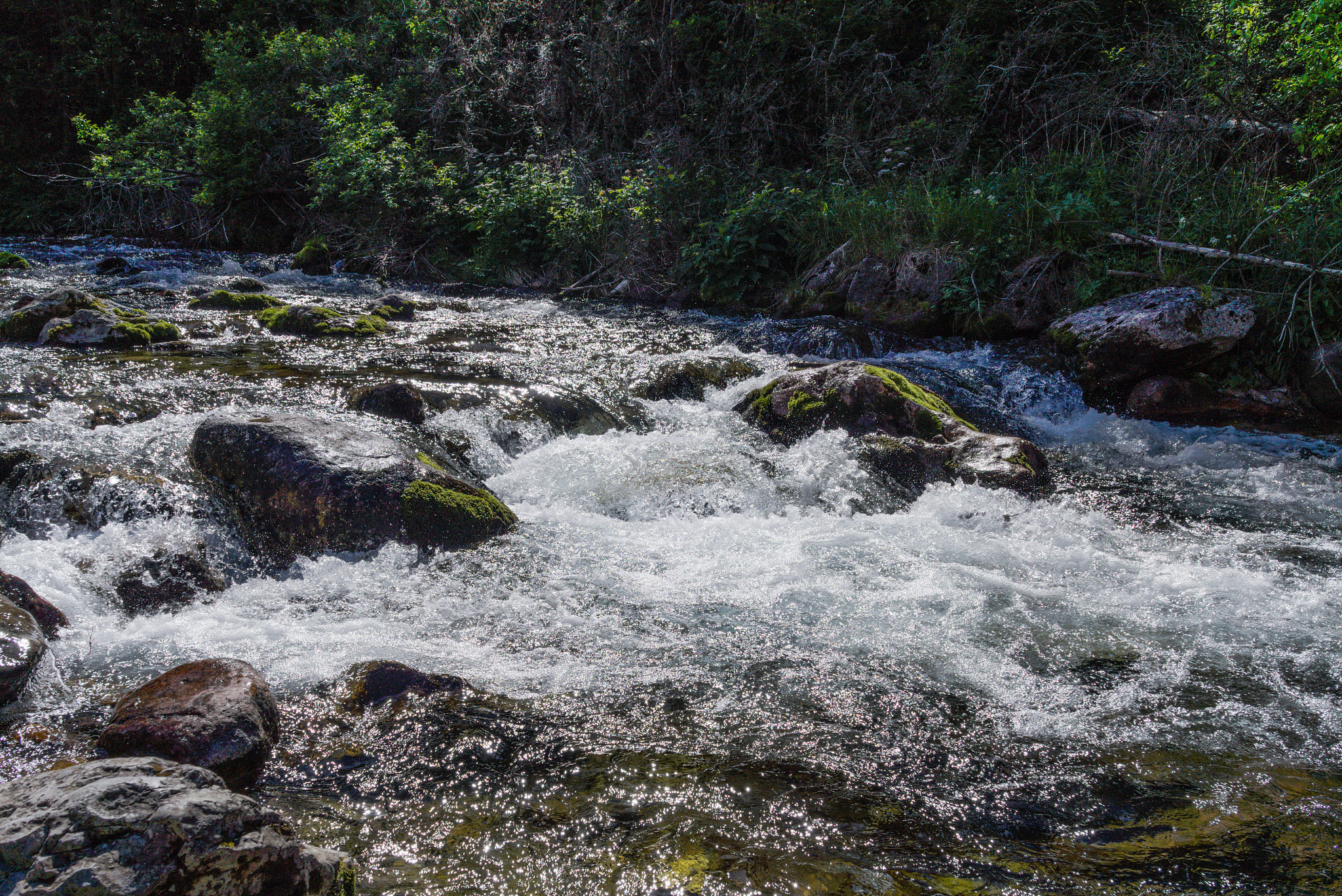 Sony Alpha a3000 sample photo