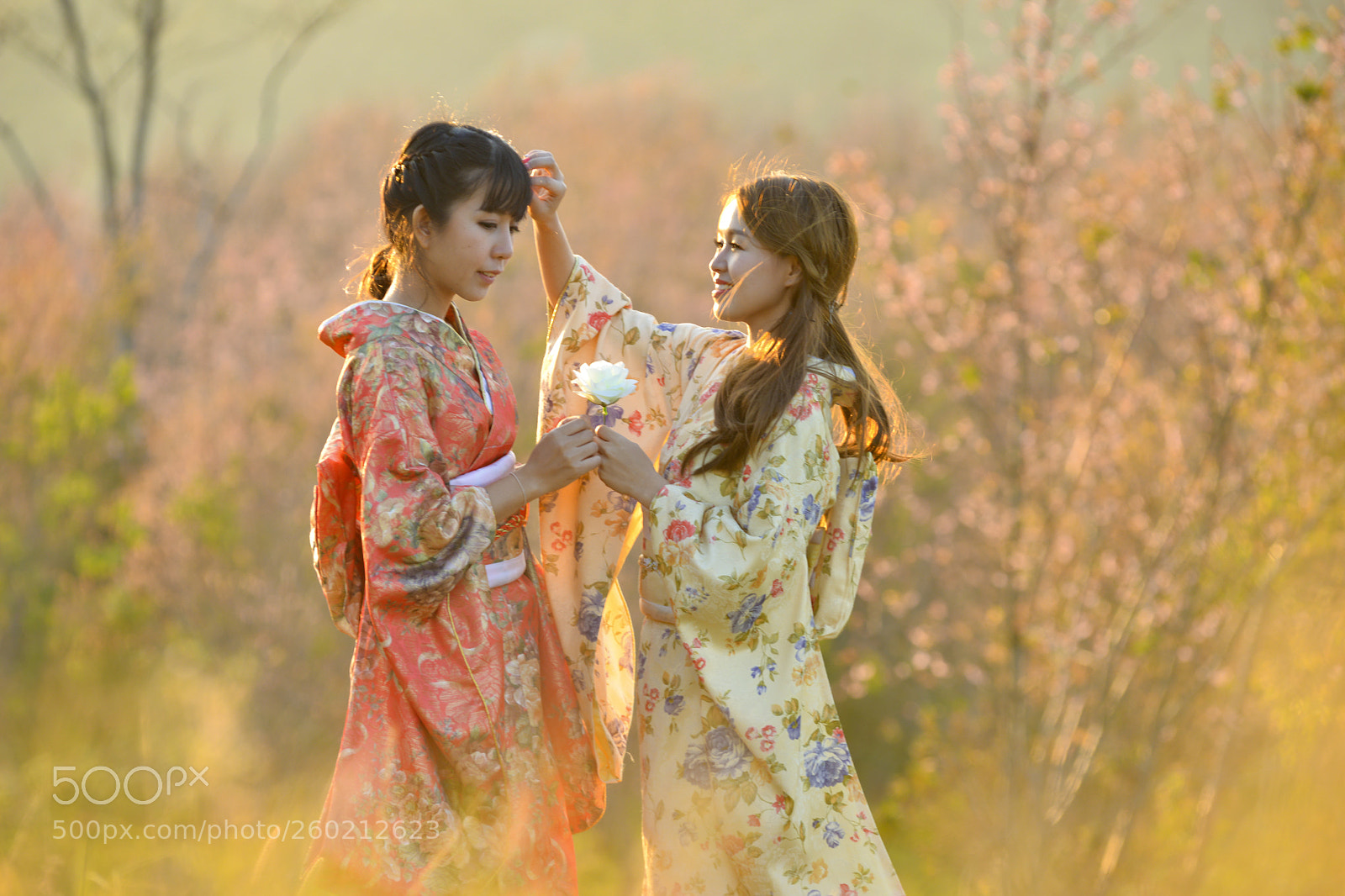 Nikon D800 sample photo. Kimono girl photography