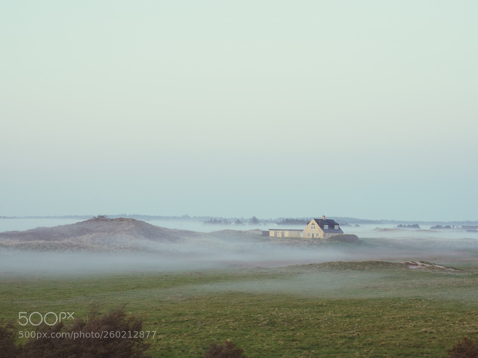 Olympus OM-D E-M1 Mark II sample photo. Fog in the fields  photography