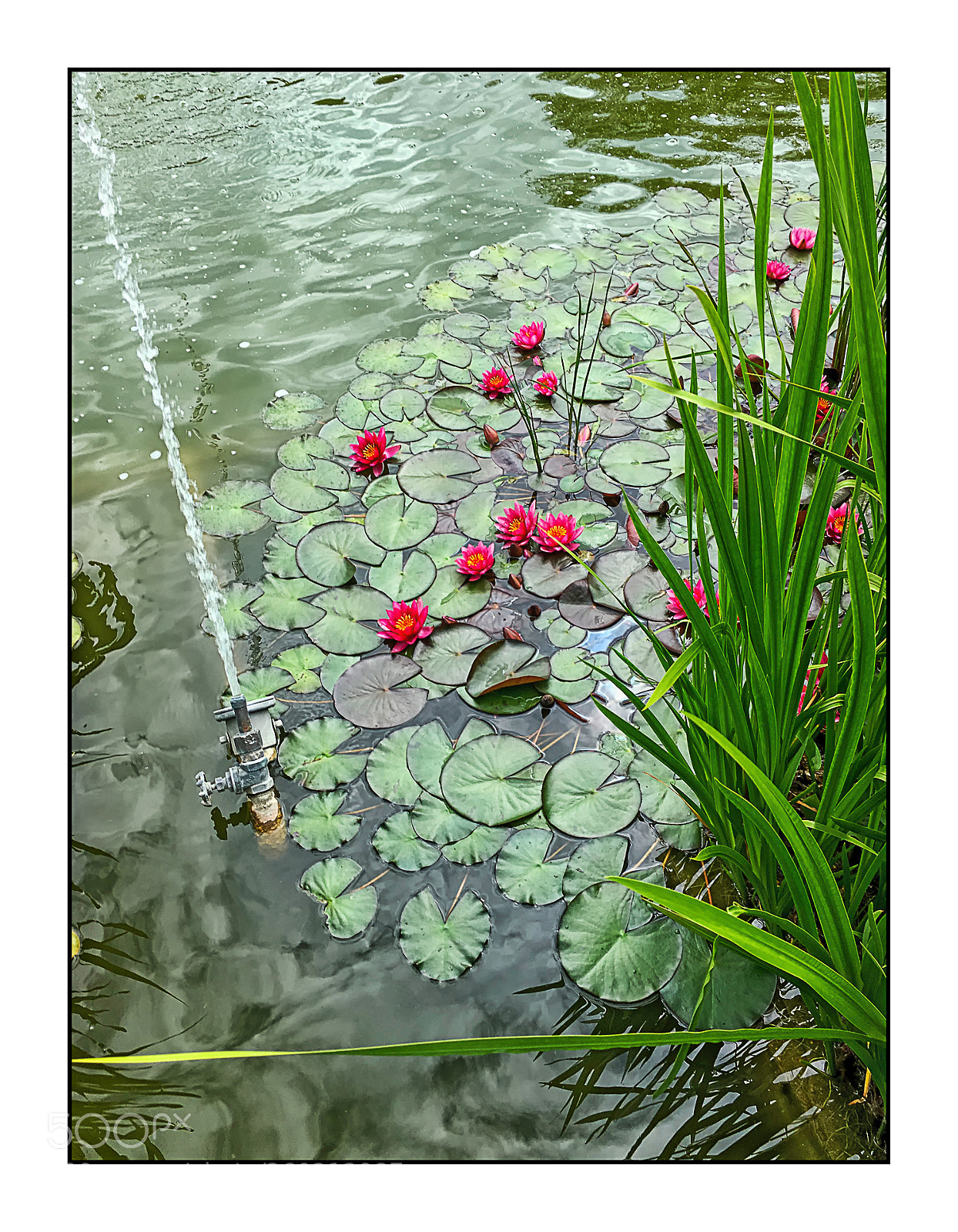 Apple iPhone SE sample photo. Bassin urbain. photography