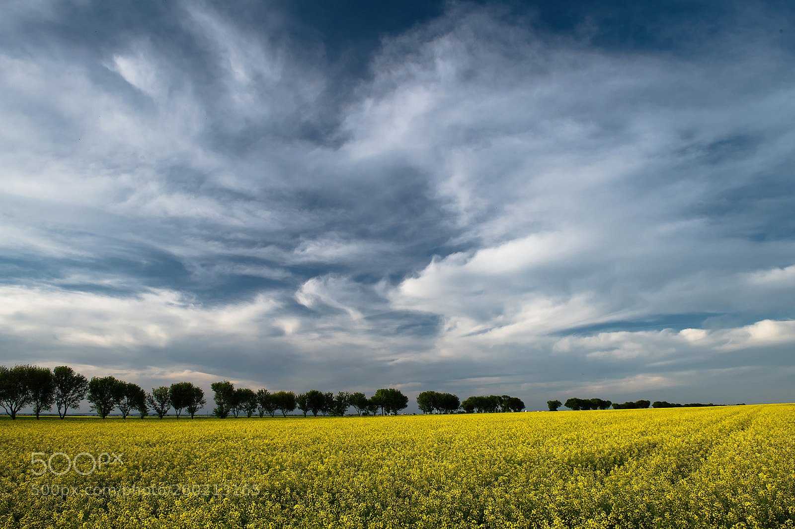 Nikon D850 sample photo. One spring day photography