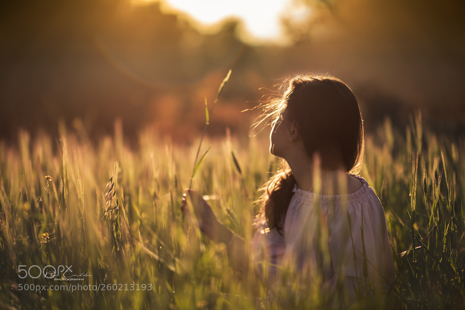 Nikon D810 sample photo. Dreamland photography