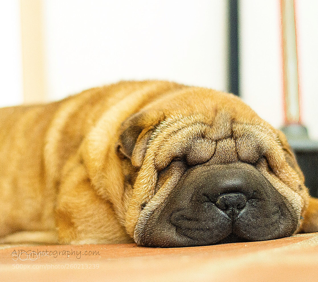 Nikon D3200 sample photo. Sleeping baby pei photography