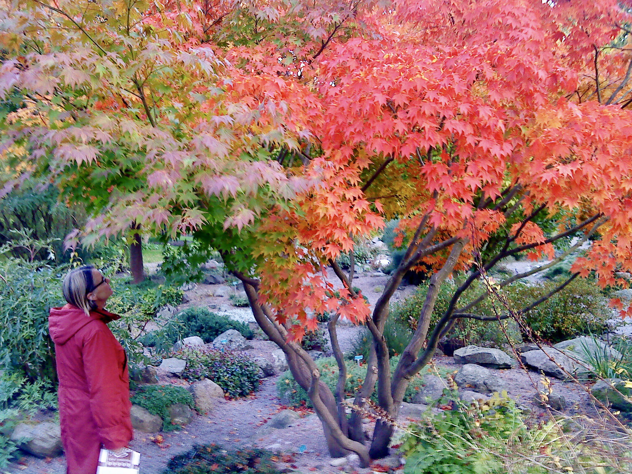 Sony Ericsson W890i sample photo. My wife photography
