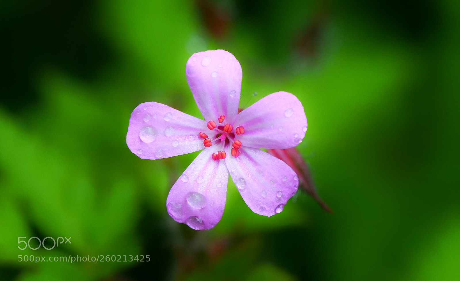 Panasonic Lumix DC-G9 sample photo. Tan peque a y photography