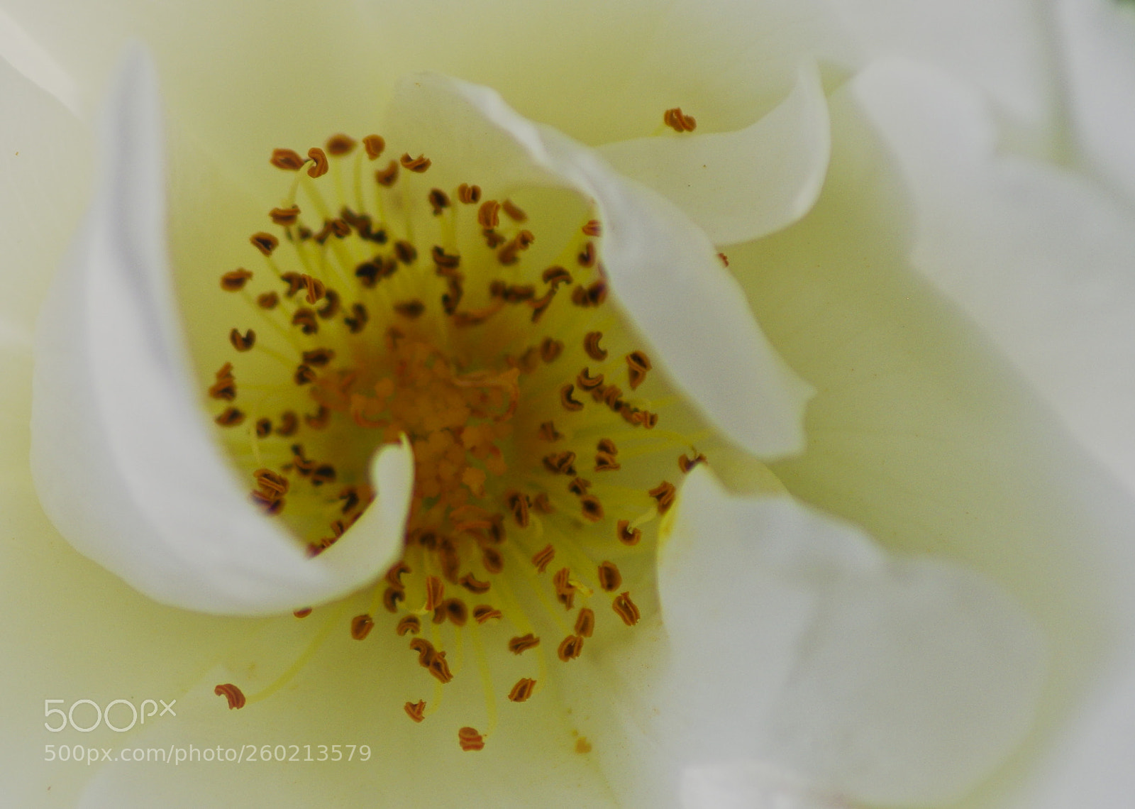 Pentax K-30 sample photo. Inside photography