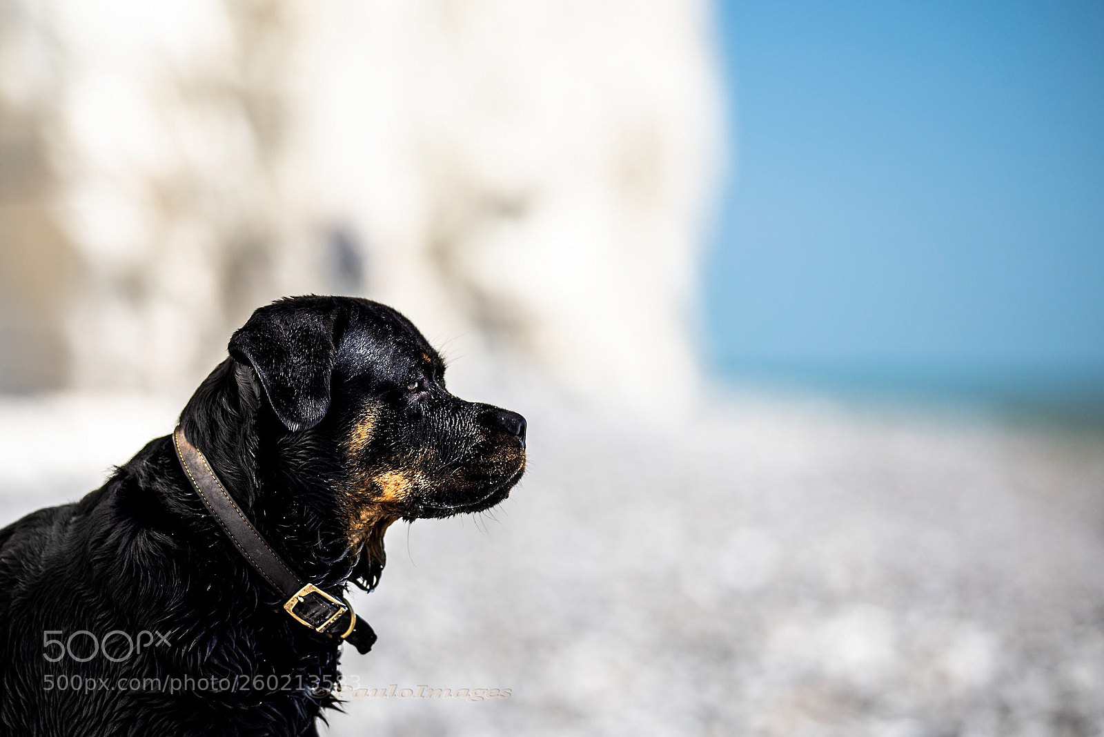 Nikon D810 sample photo. First day at the photography