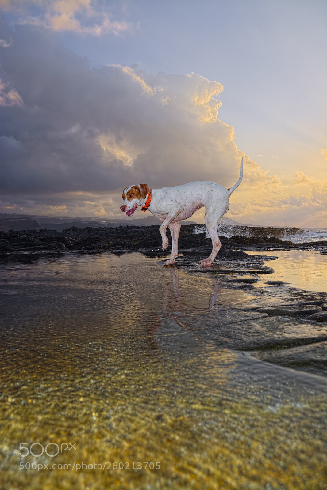 Nikon D7100 sample photo. De pesca photography