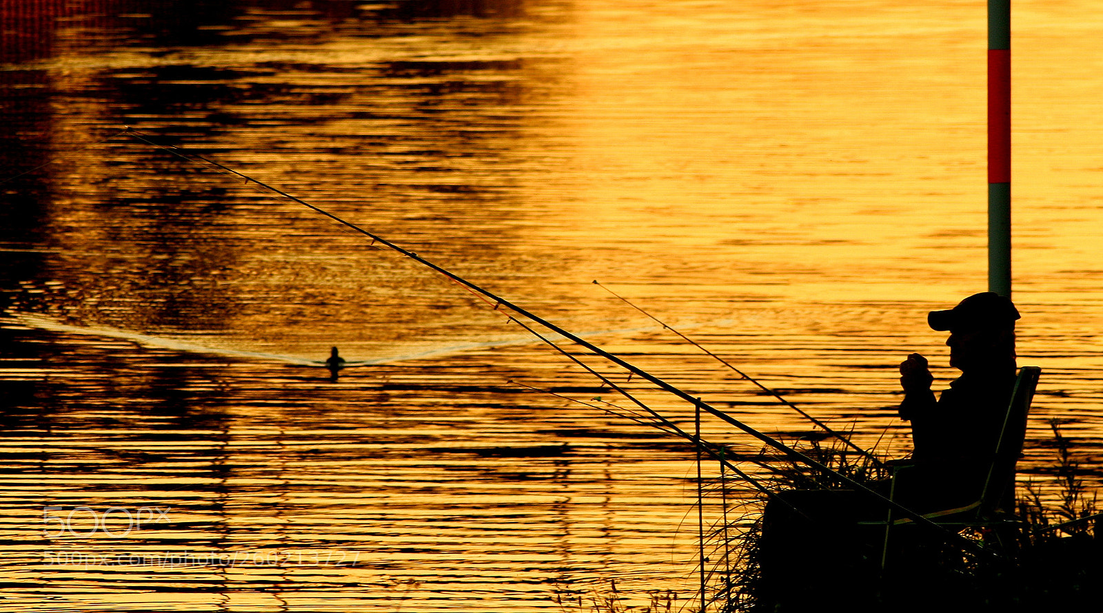 Canon EOS 600D (Rebel EOS T3i / EOS Kiss X5) sample photo. Der goldfischangler photography