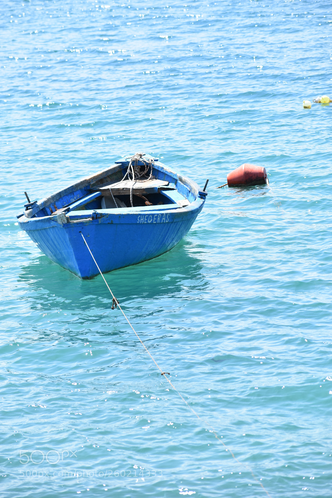 Nikon D3400 sample photo. Dsc photography