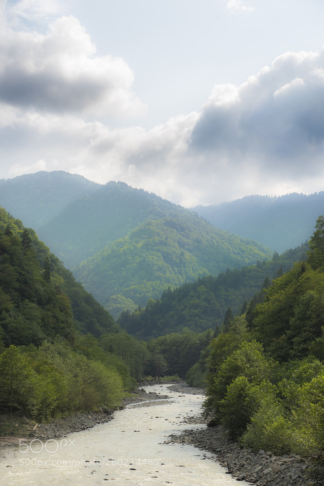 Nikon D750 sample photo. Karadeniz'de bi yer... photography