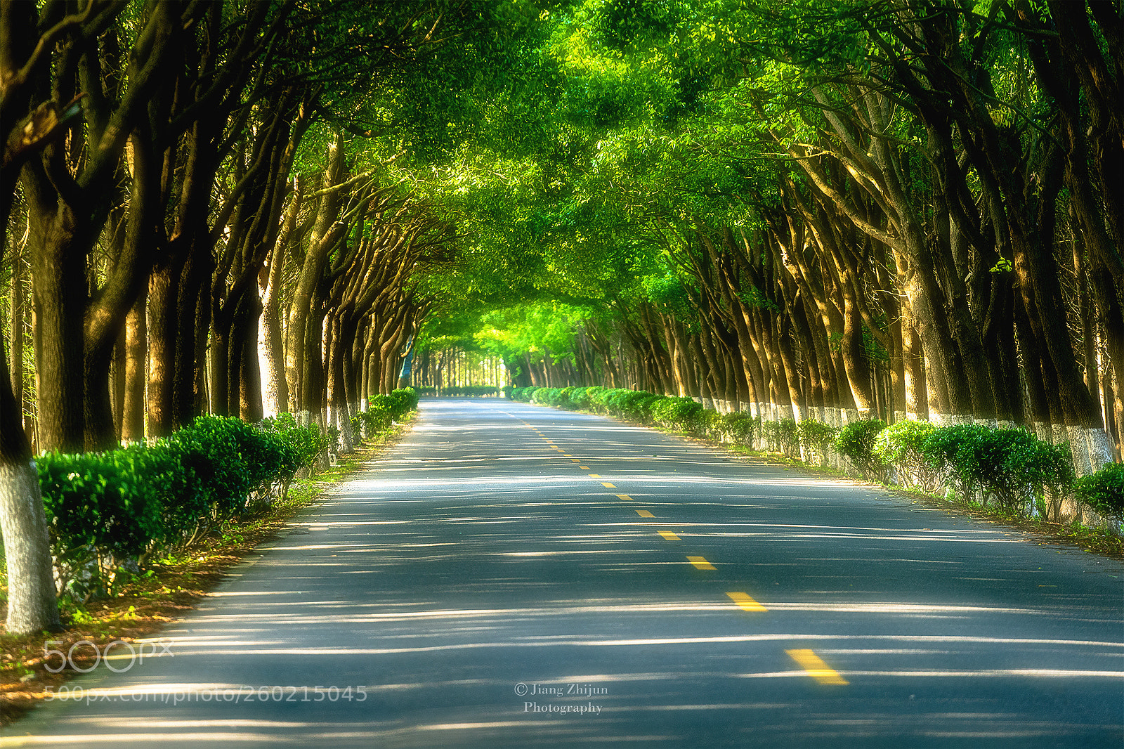 Sony a7 III sample photo. Road photography