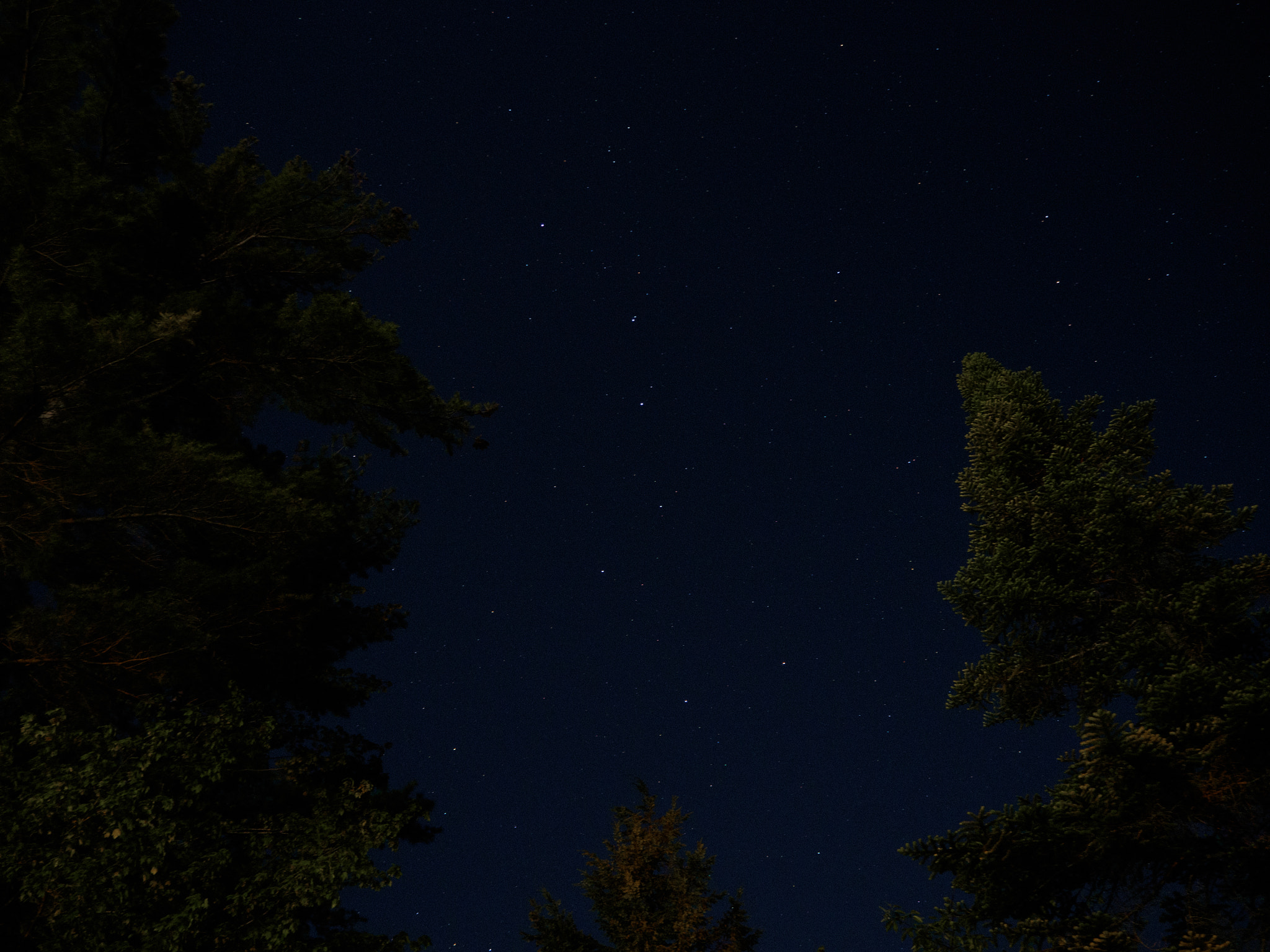 Olympus OM-D E-M10 III sample photo. Big dipper through the trees photography