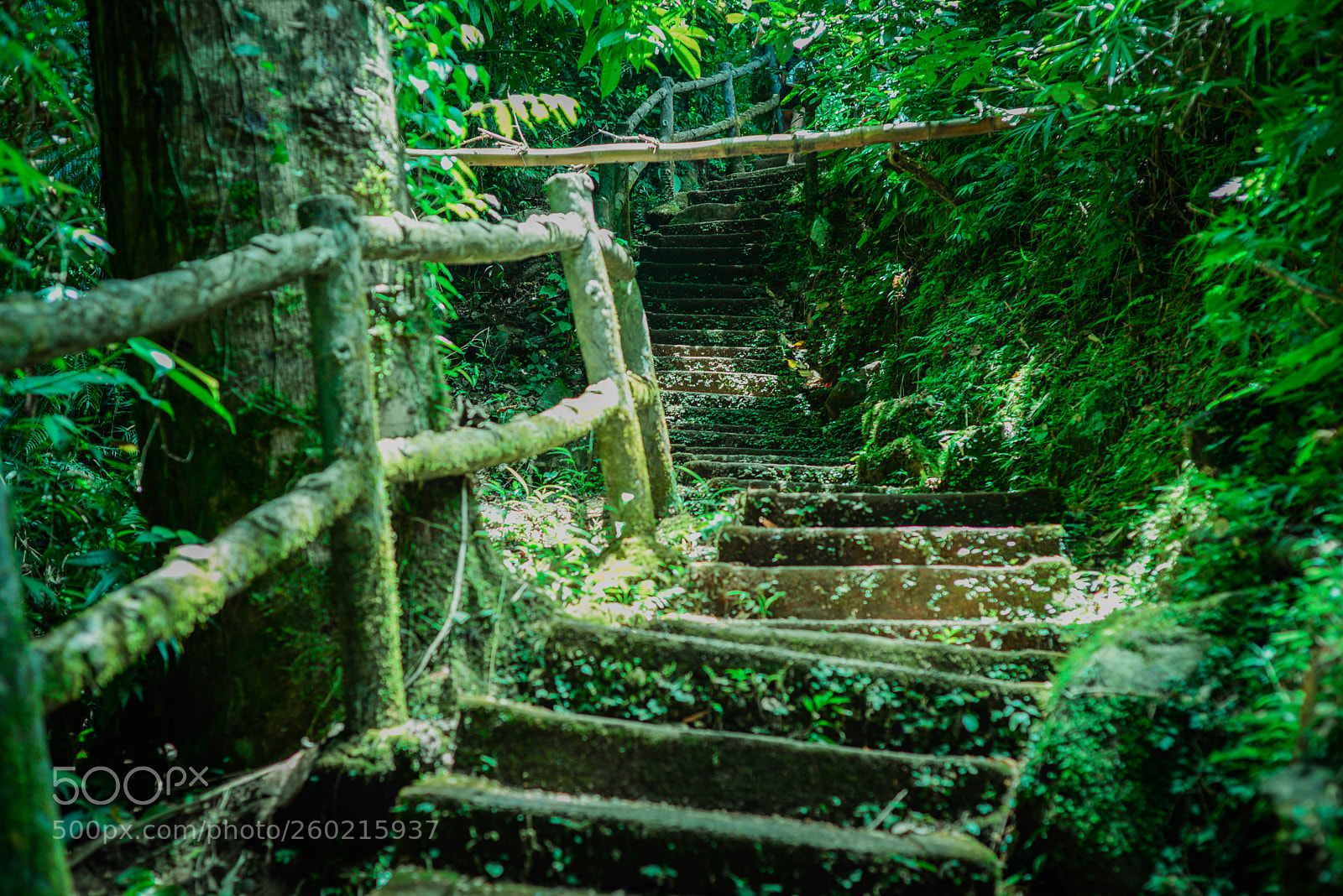 Nikon D610 sample photo. Taken by 50 1.8d lens photography