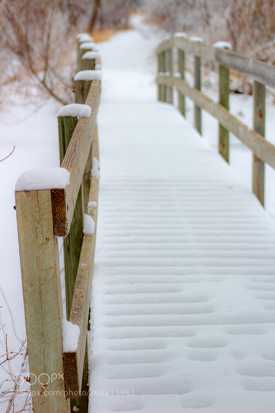 Canon EOS 1300D (EOS Rebel T6 / EOS Kiss X80) sample photo. Snowy walk photography