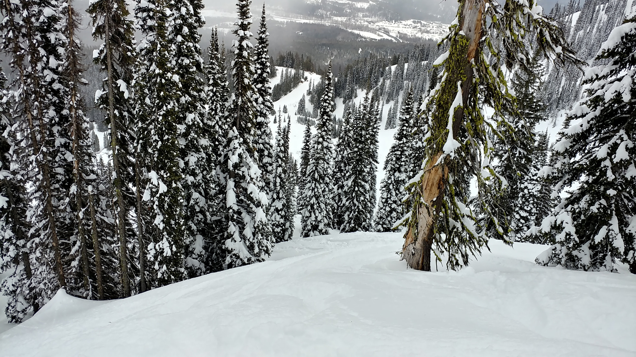 LG V20 sample photo. Fernie fun photography