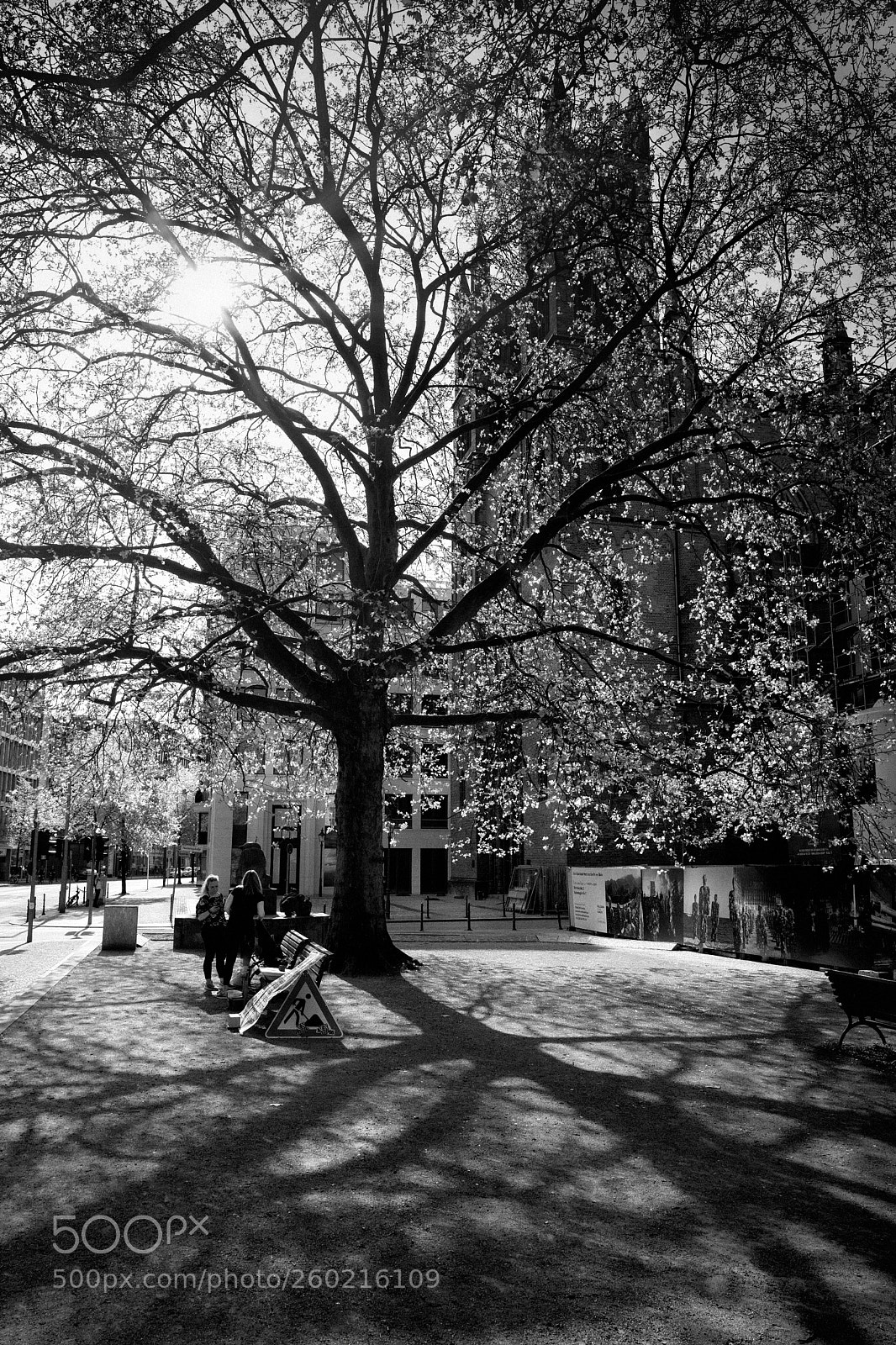 Leica Q (Typ 116) sample photo. Charlando bajo el rbol photography
