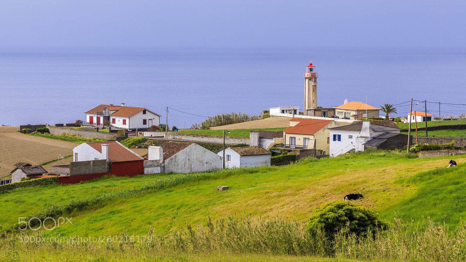 Canon EOS 5D Mark IV sample photo. A ores-s o miguel-ponta photography