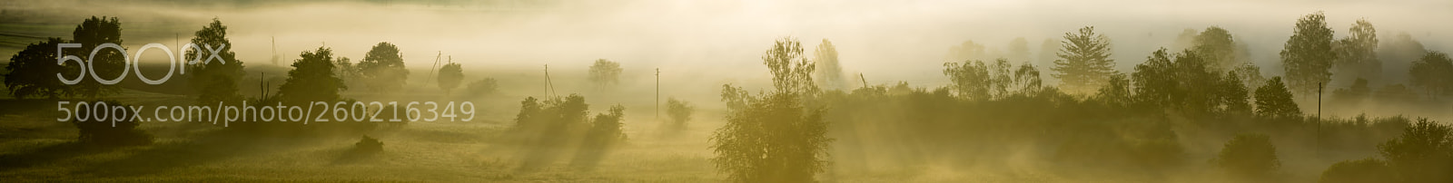 Sony a6000 sample photo. Early morning fog photography