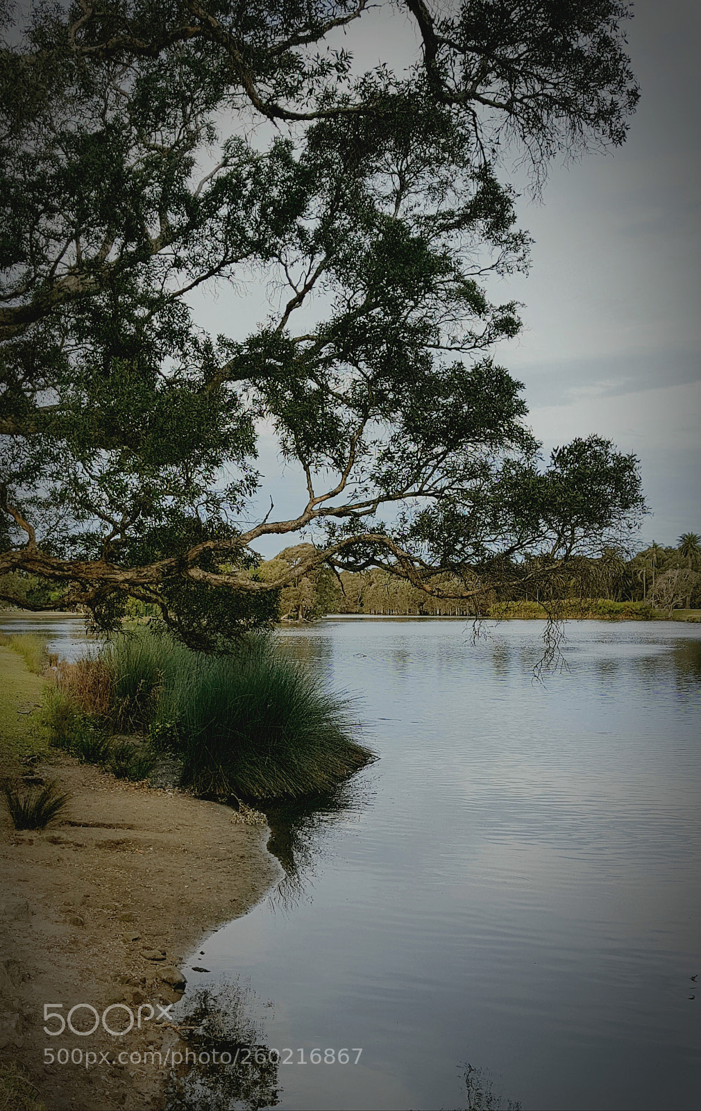 Samsung Galaxy S8+ sample photo. Centennial park3 photography