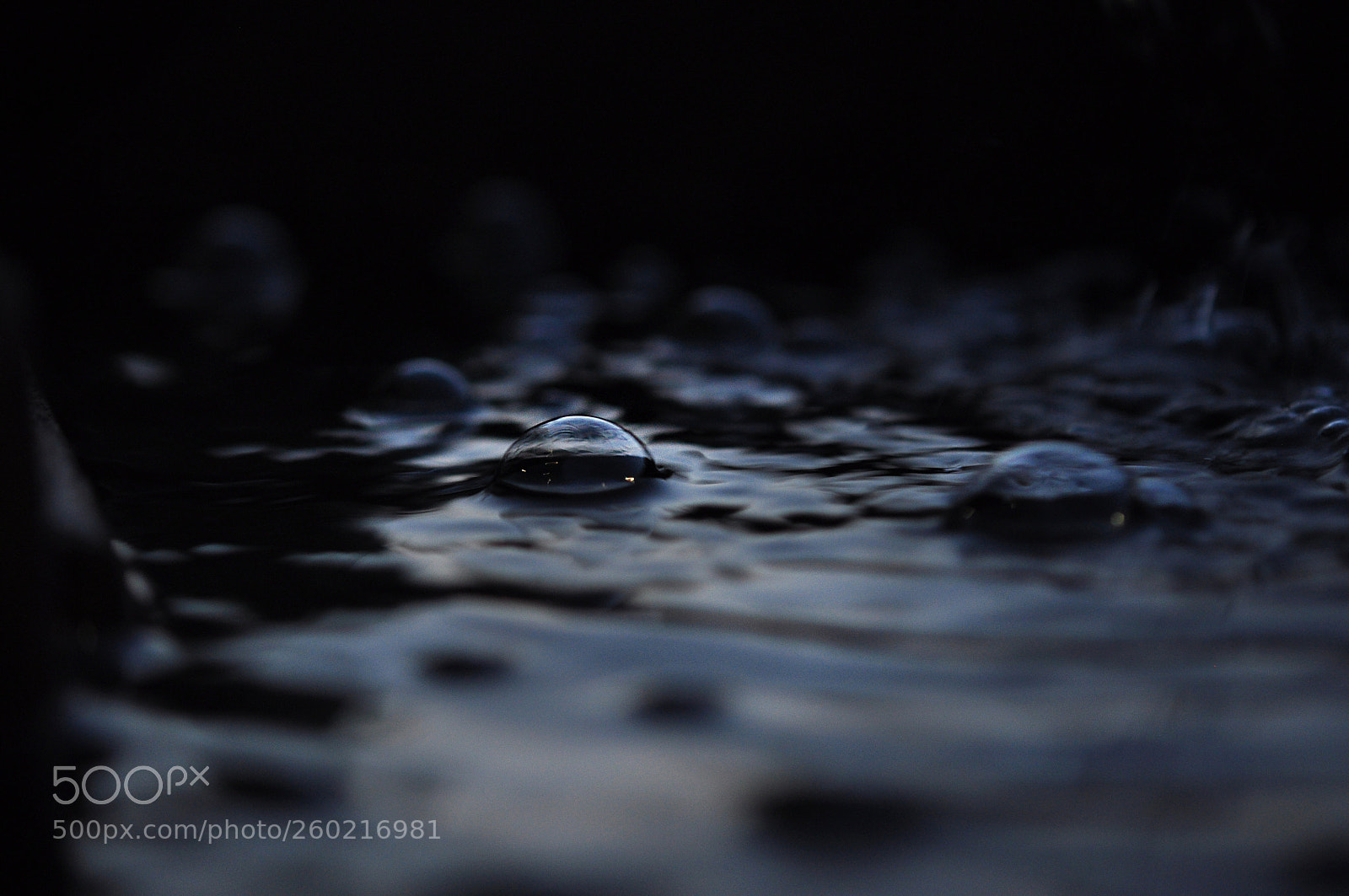 Nikon D90 sample photo. Quietly in silence photography
