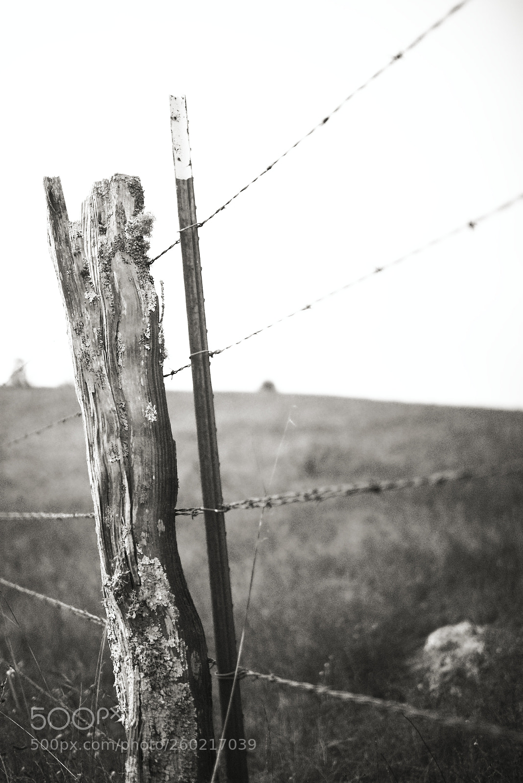 Nikon D810 sample photo. Fence post photography
