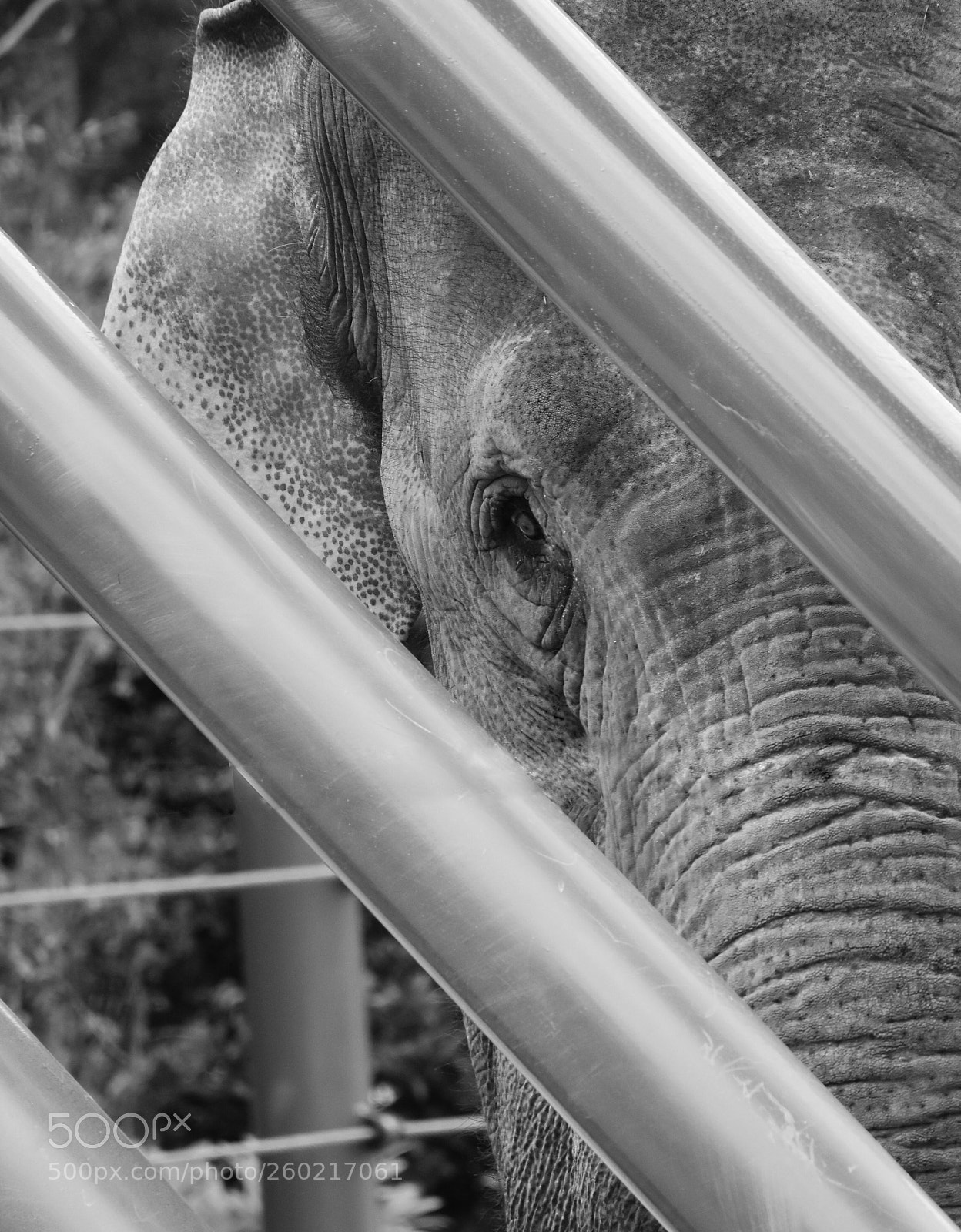 Nikon D7200 sample photo. Don t look at photography