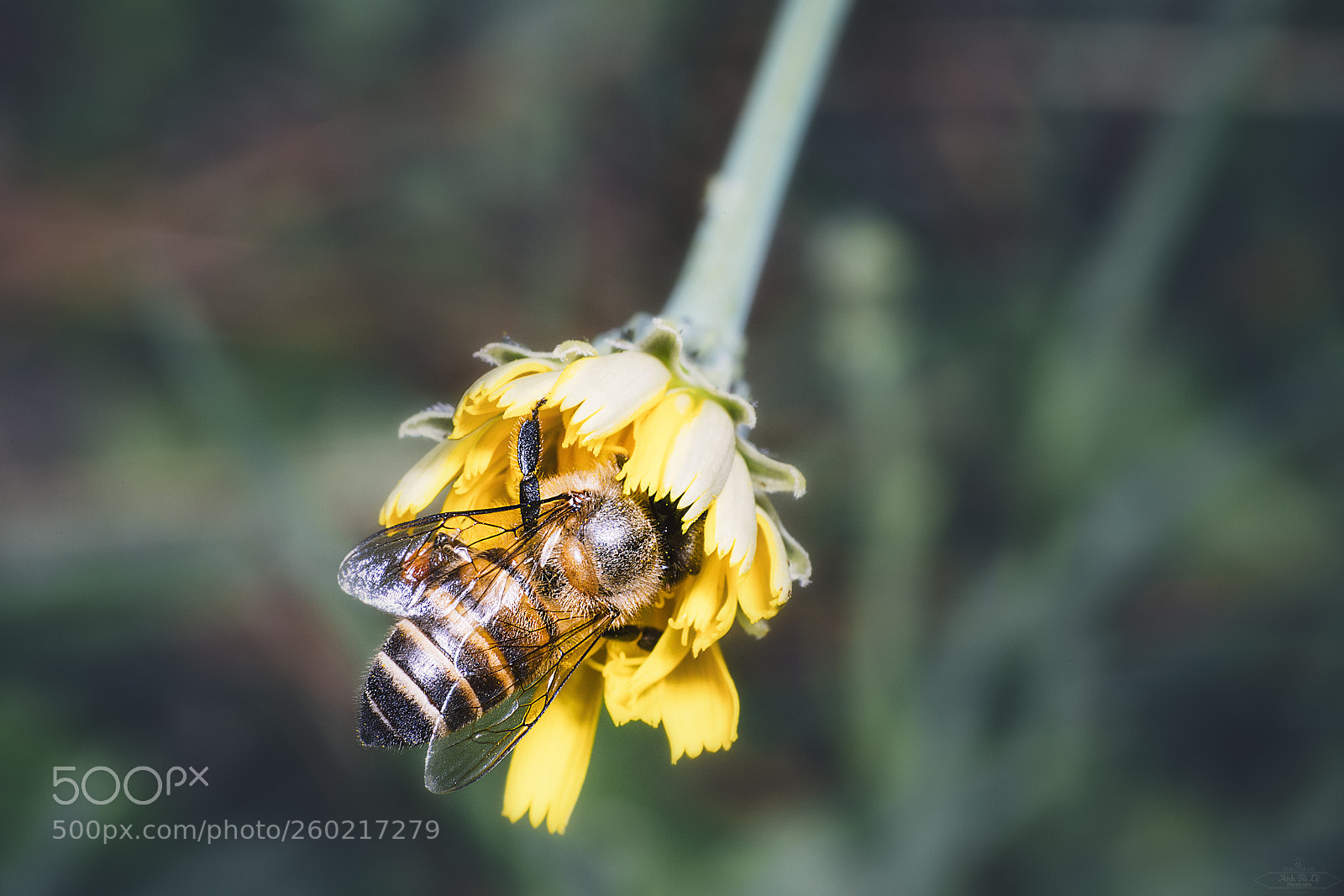 Canon EOS 6D sample photo. Untitled photography