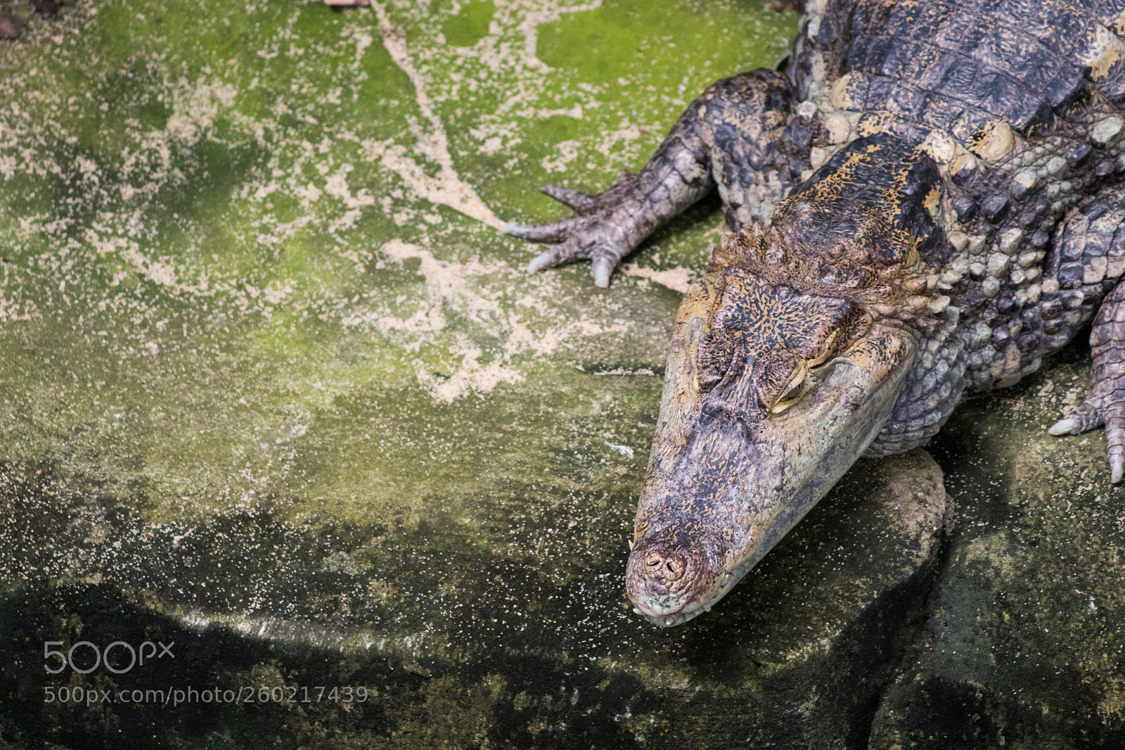 Canon EOS 77D (EOS 9000D / EOS 770D) sample photo. Top view photography