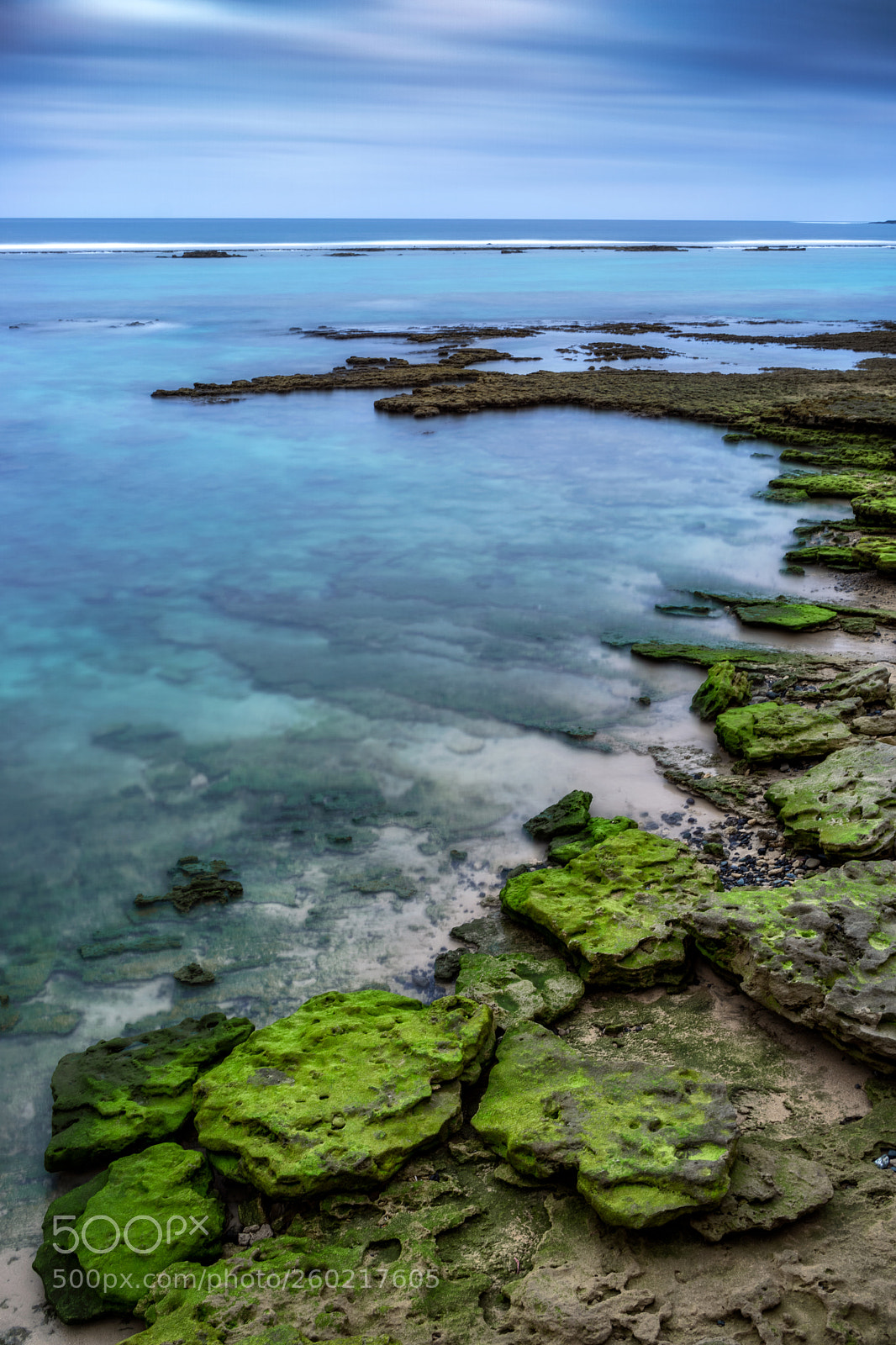 Sony a6000 sample photo. Canaries photography