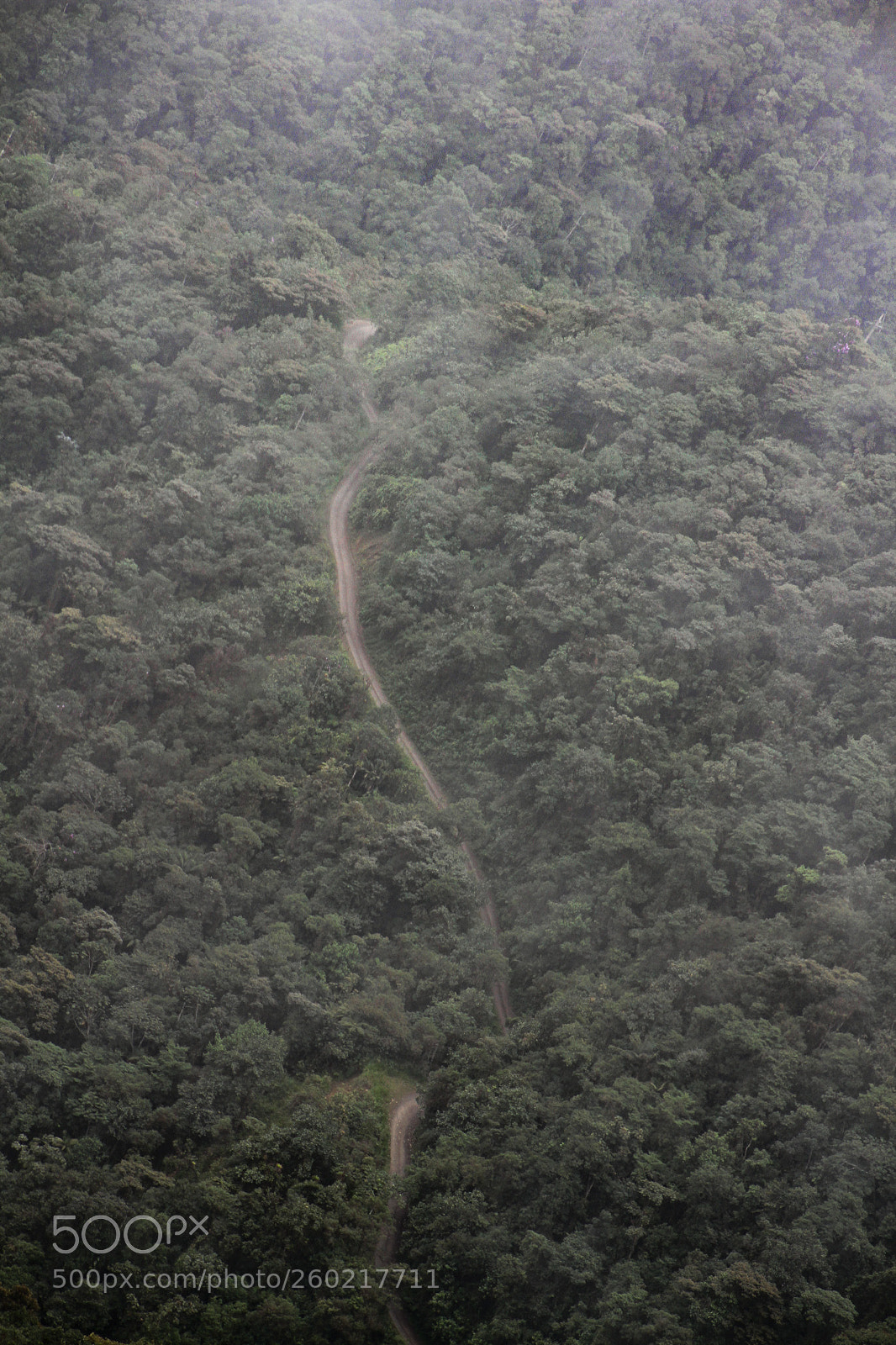 Canon EOS 7D sample photo. Mystic roads photography