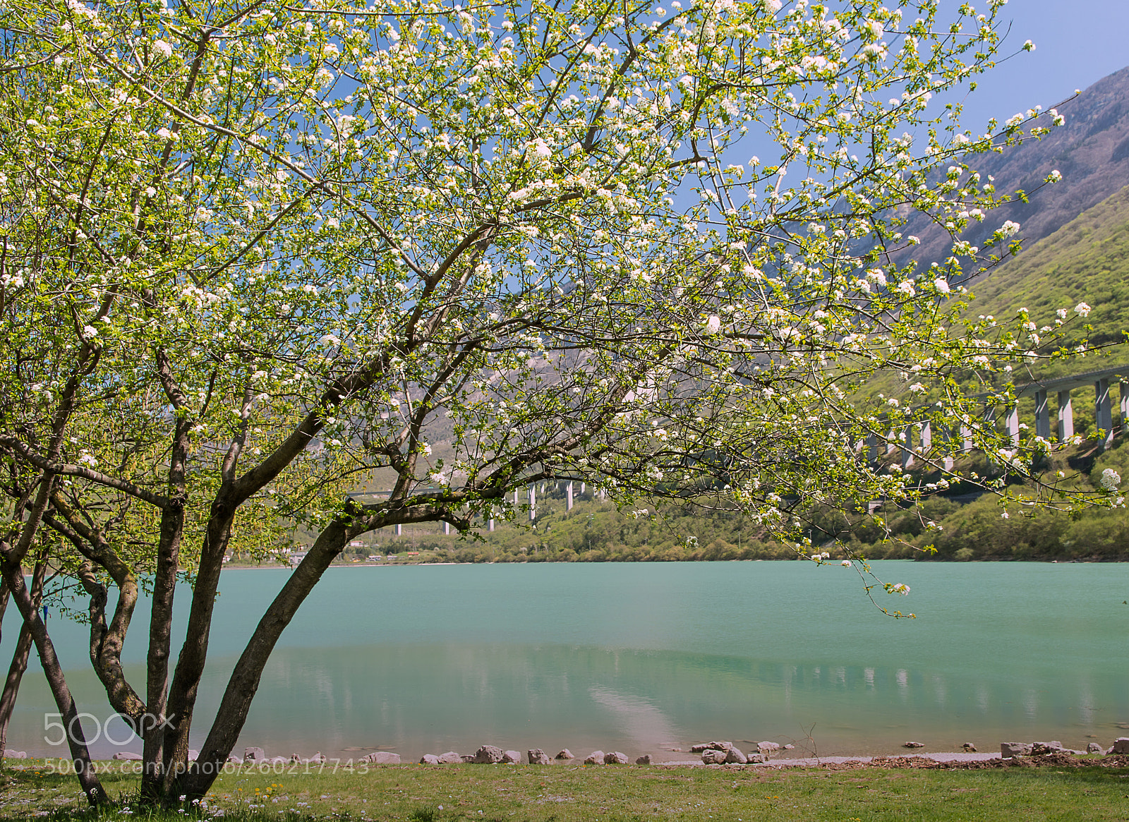Nikon D7200 sample photo. Untitled photography