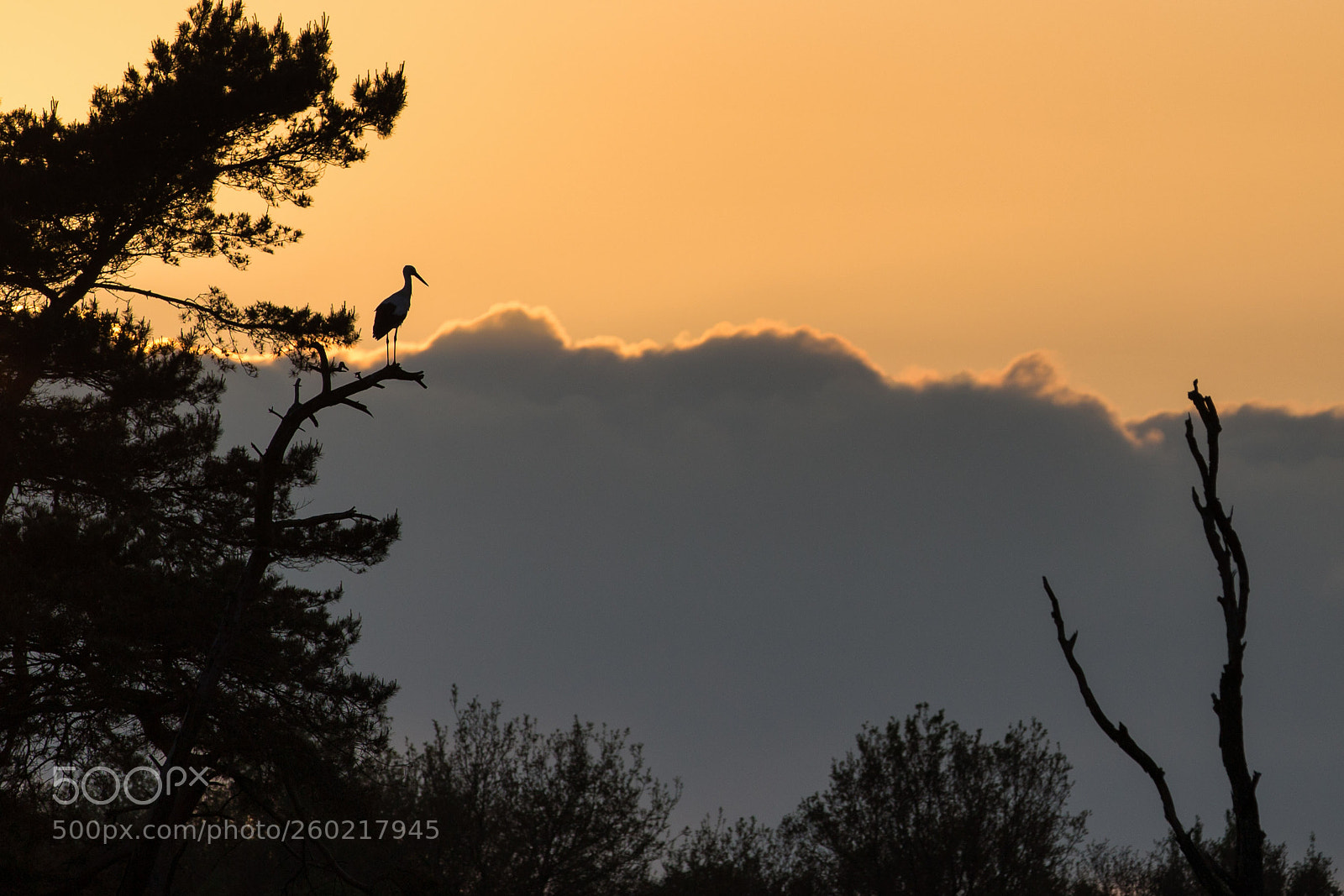 Canon EOS 6D sample photo. Above the clouds photography