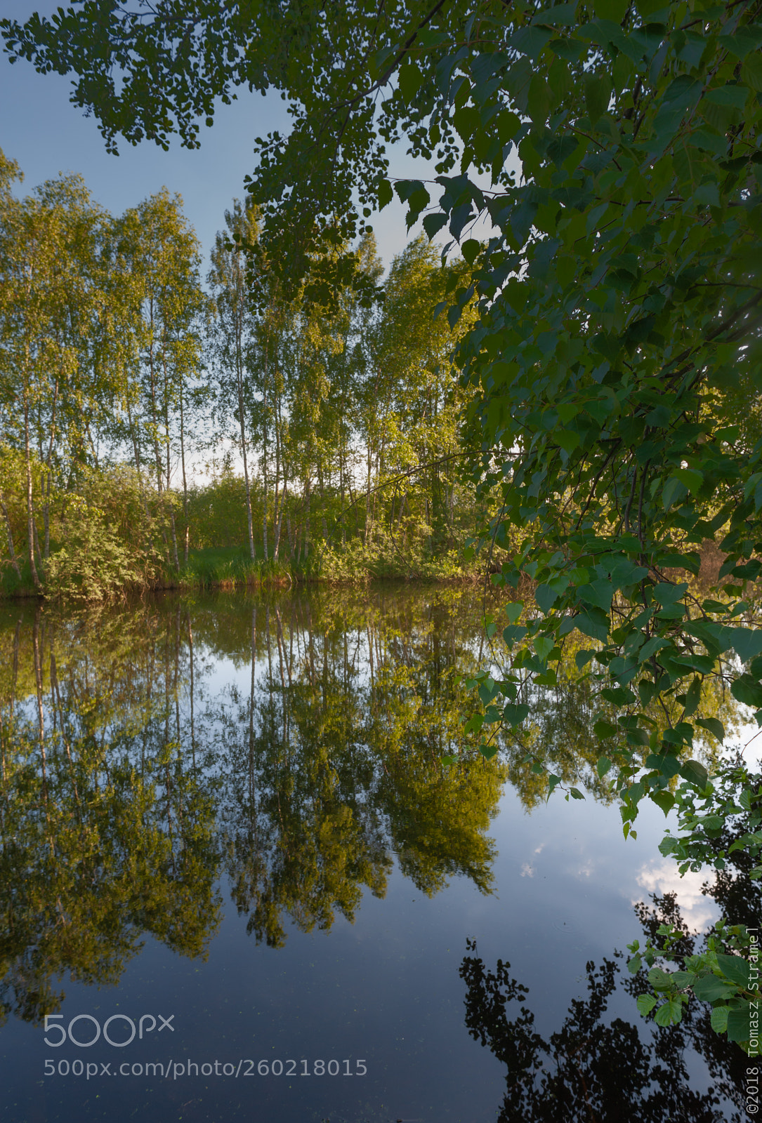 Nikon D700 sample photo. Between heaven and earth photography