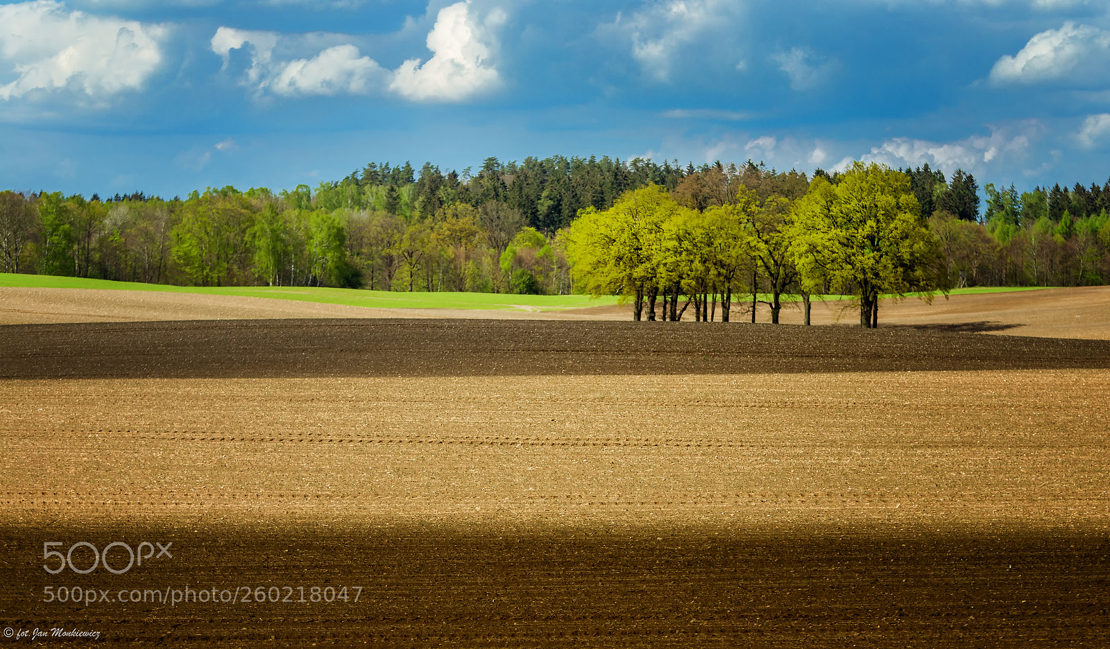 Canon EOS 6D sample photo. Untitled photography