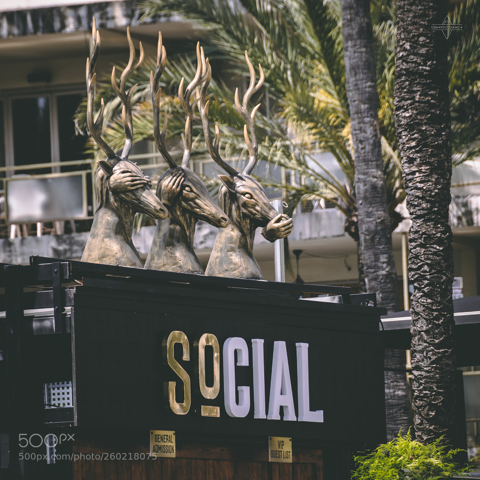 Nikon D800 sample photo. Mallorca - eduardo zulaica photography