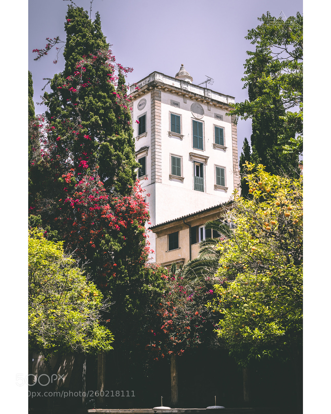 Nikon D800 sample photo. Mallorca - eduardo zulaica photography