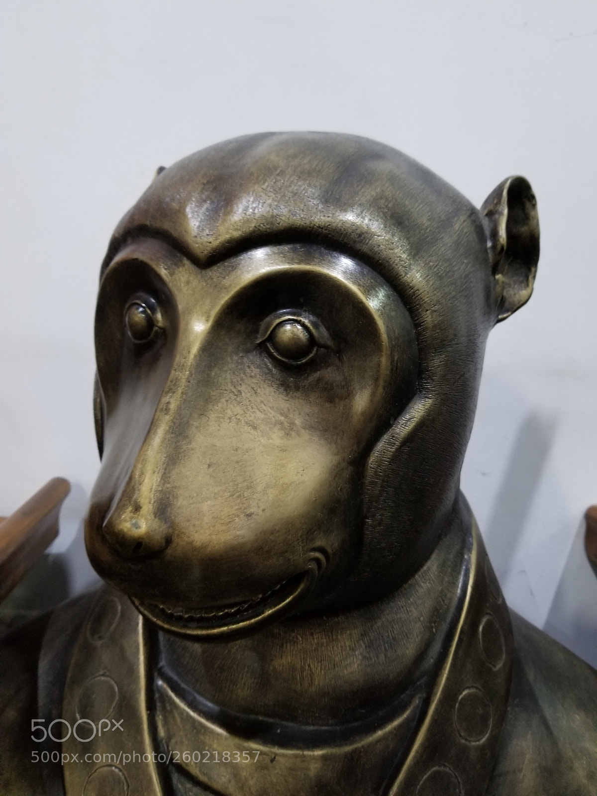 Samsung Galaxy S8 sample photo. Monkey photography